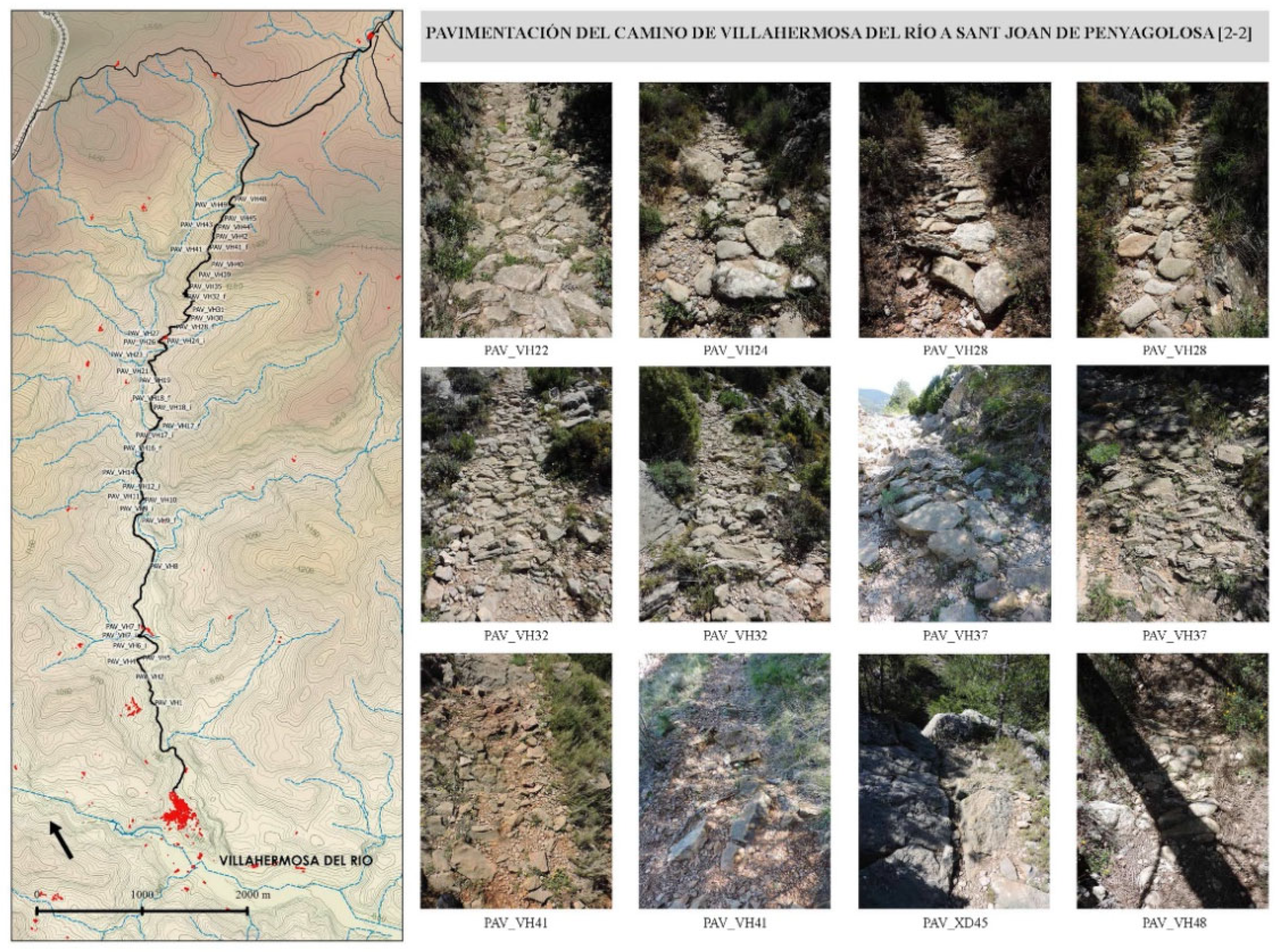 Remotesensing 14 04155 g007 550