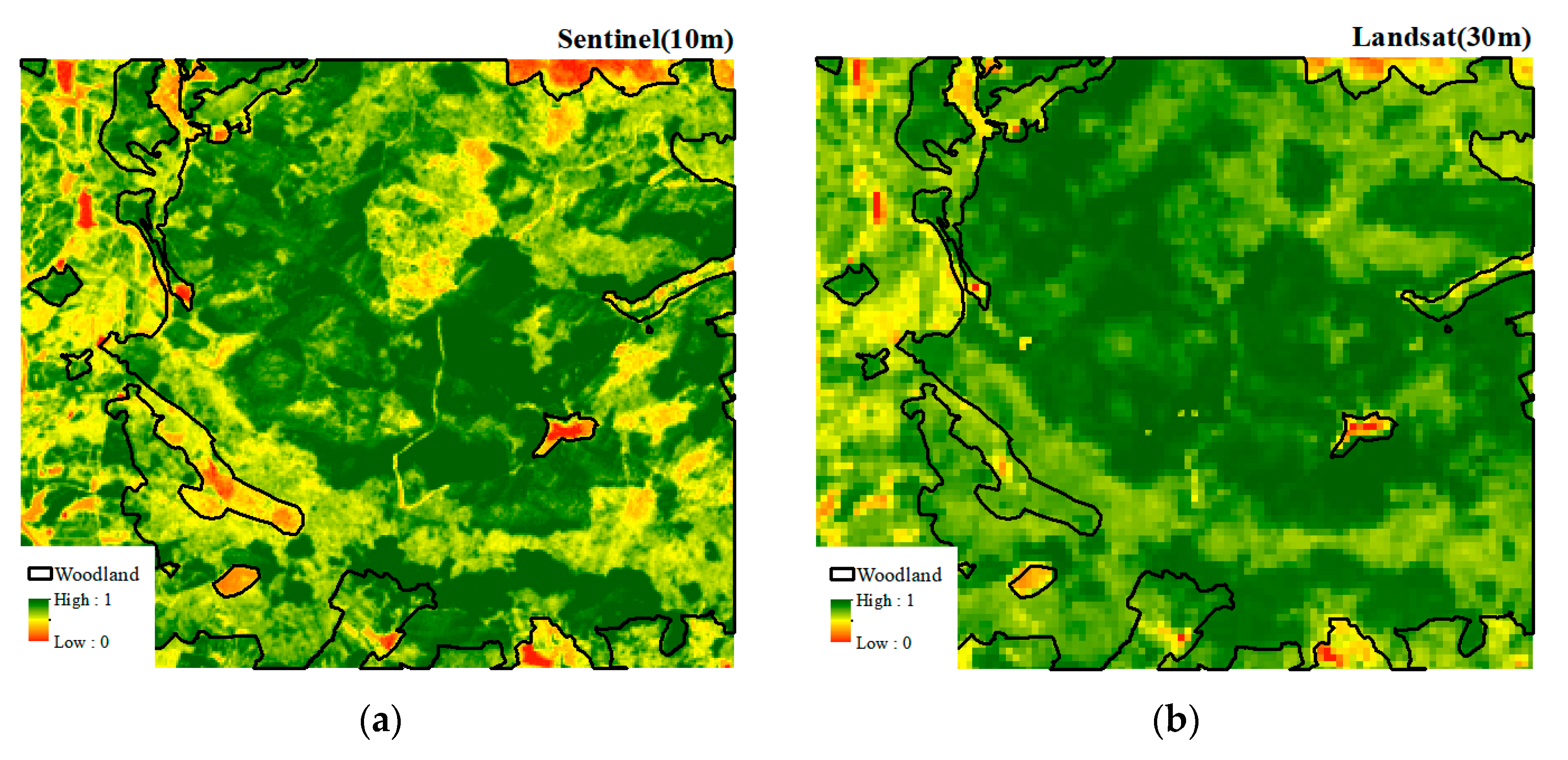 Remotesensing 14 04165 g002a 550