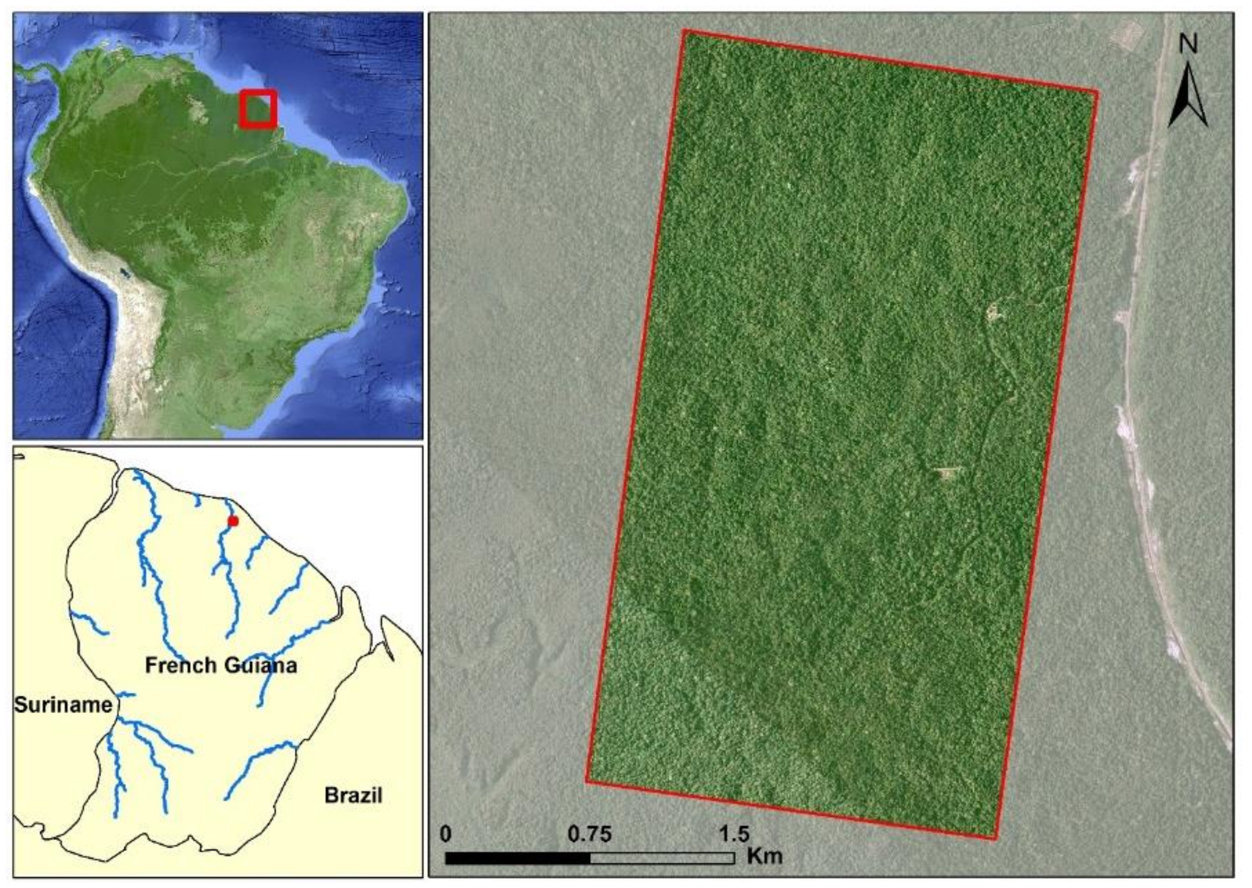 Remotesensing 14 04173 g001 550