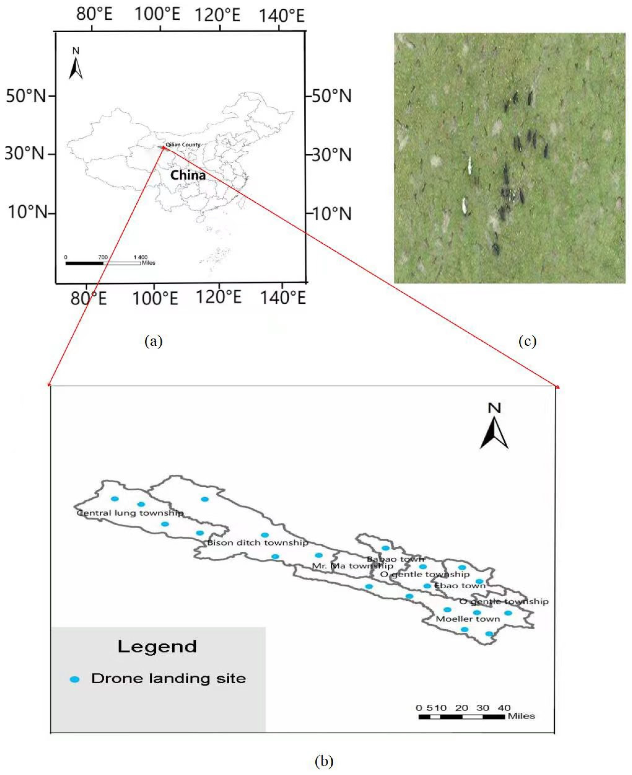 Remotesensing 14 04188 g001