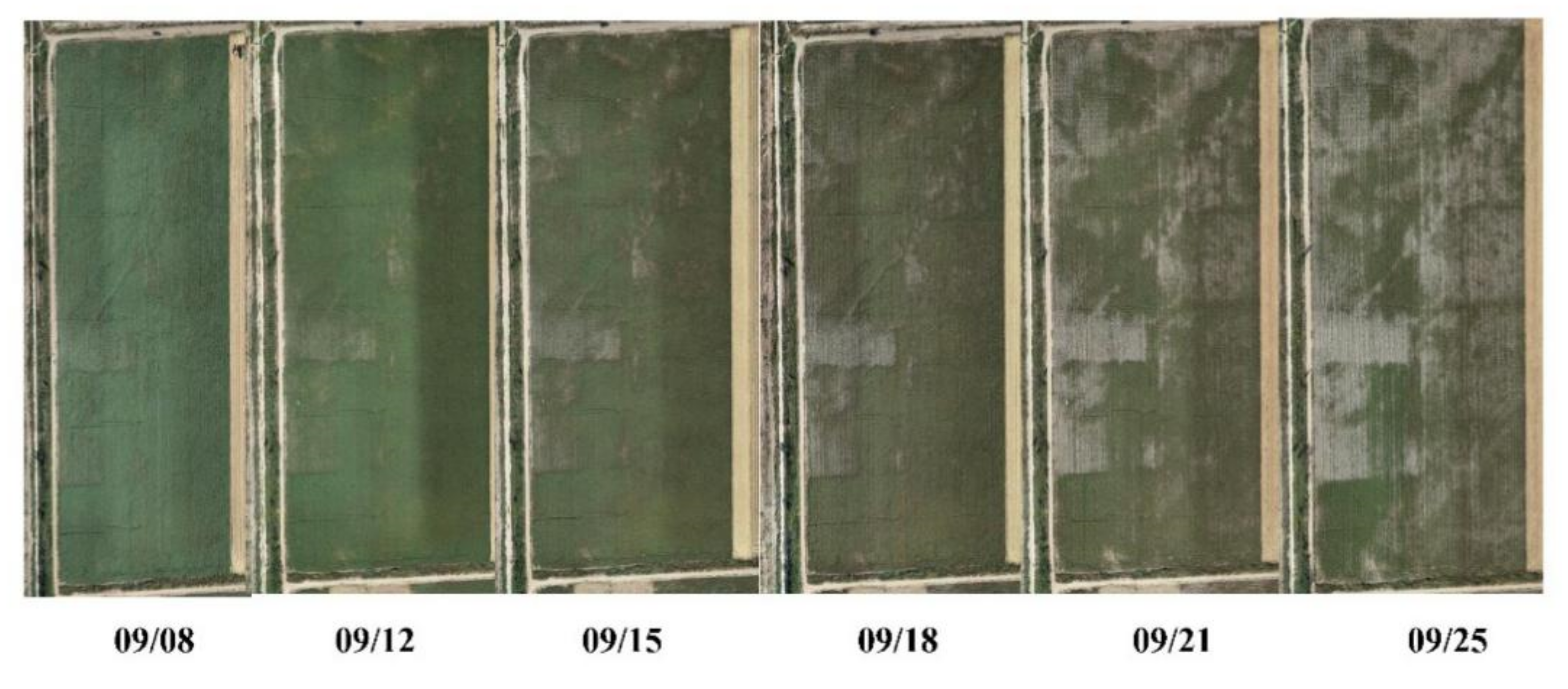 Remotesensing 14 04206 g003 550