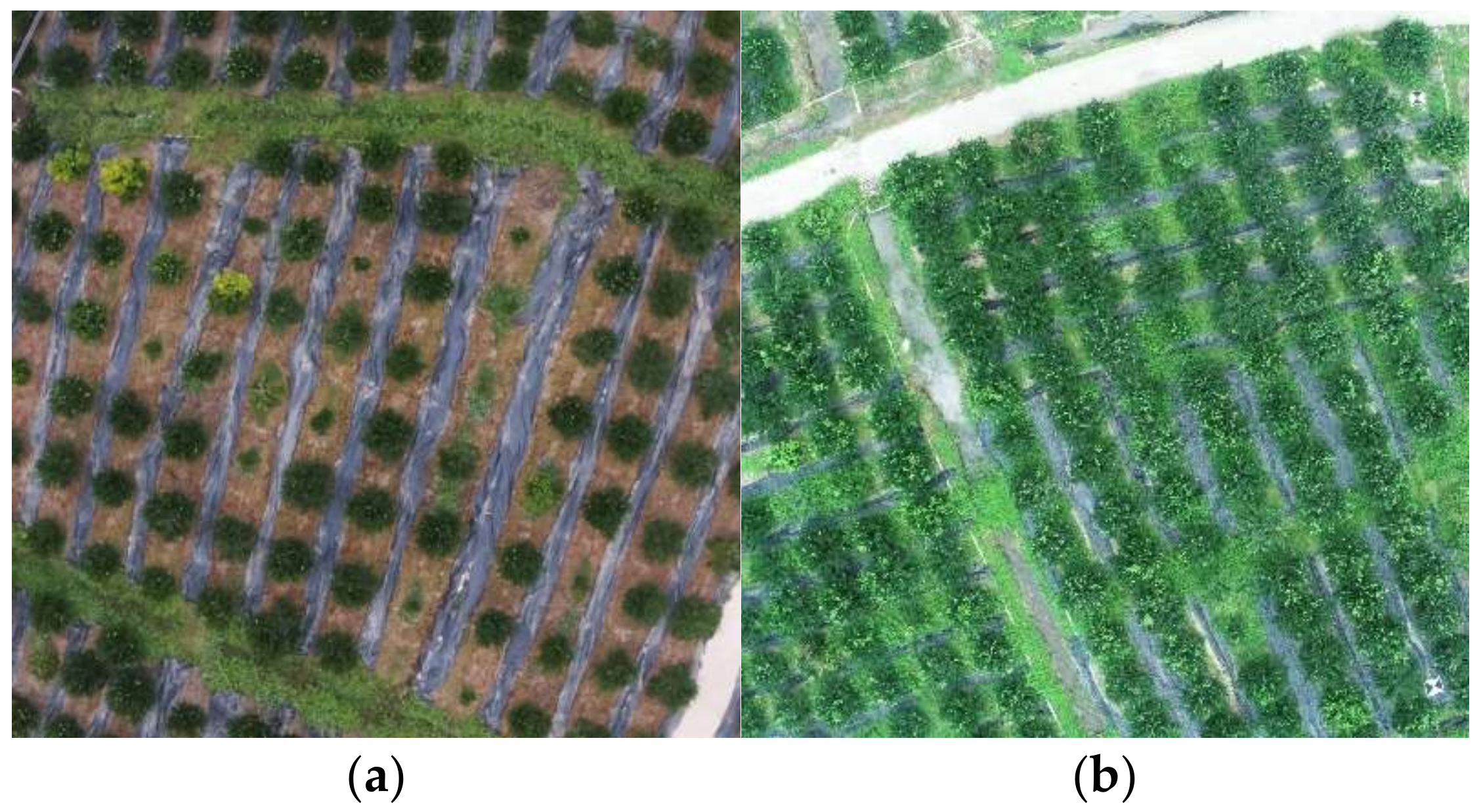 Remotesensing 14 04208 g003