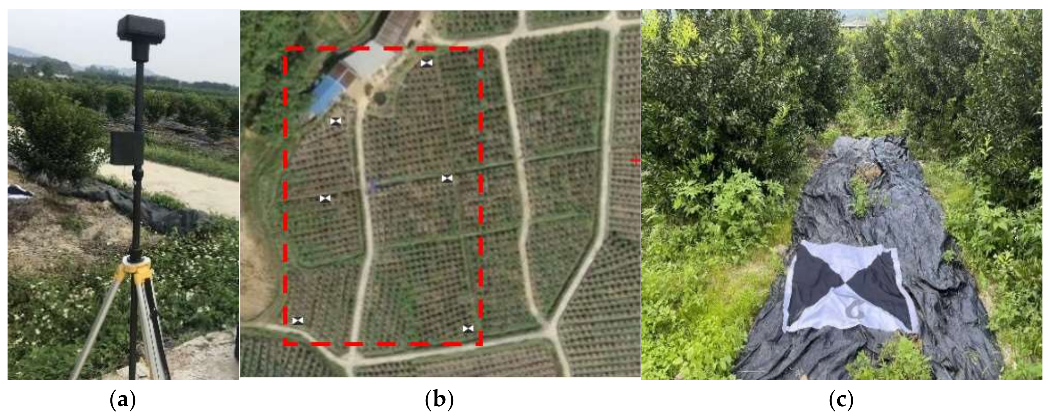 Remotesensing 14 04208 g004