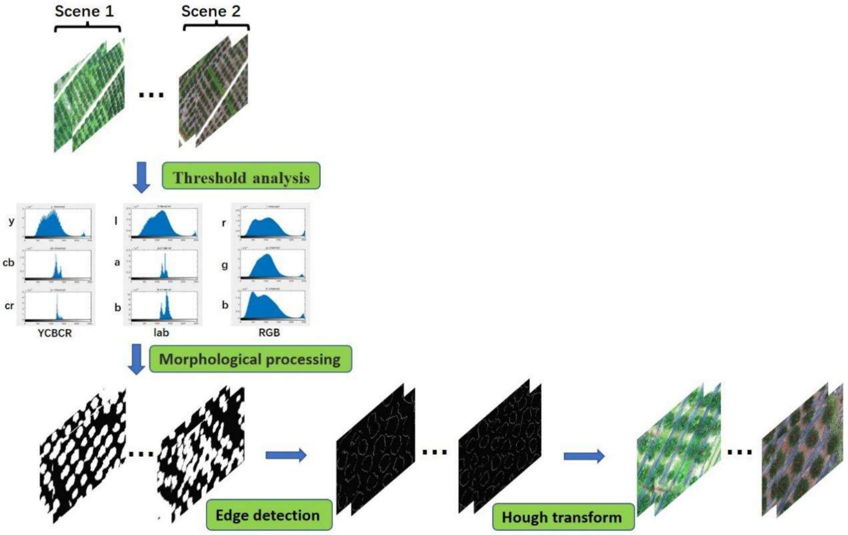 Remotesensing 14 04208 g006