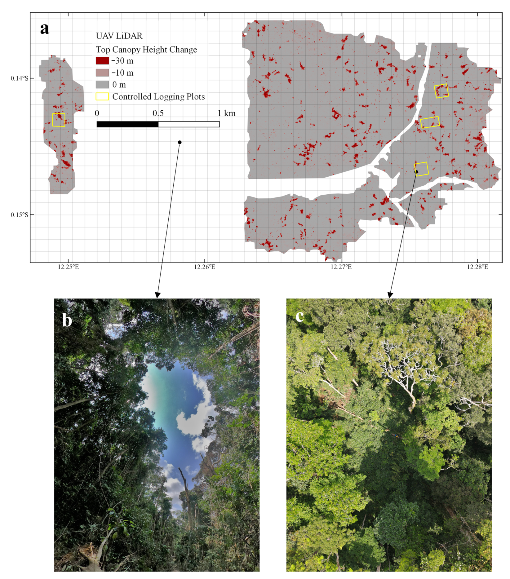 Remotesensing 14 04233 g002