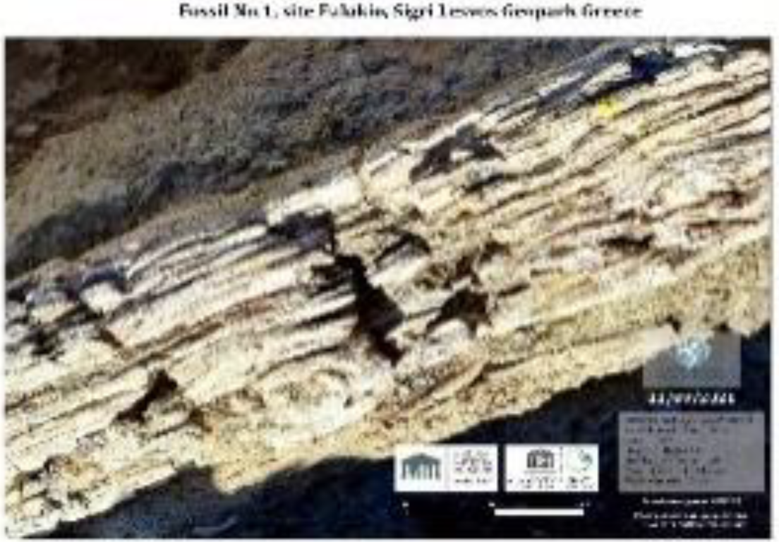 Remotesensing 14 04259 i008