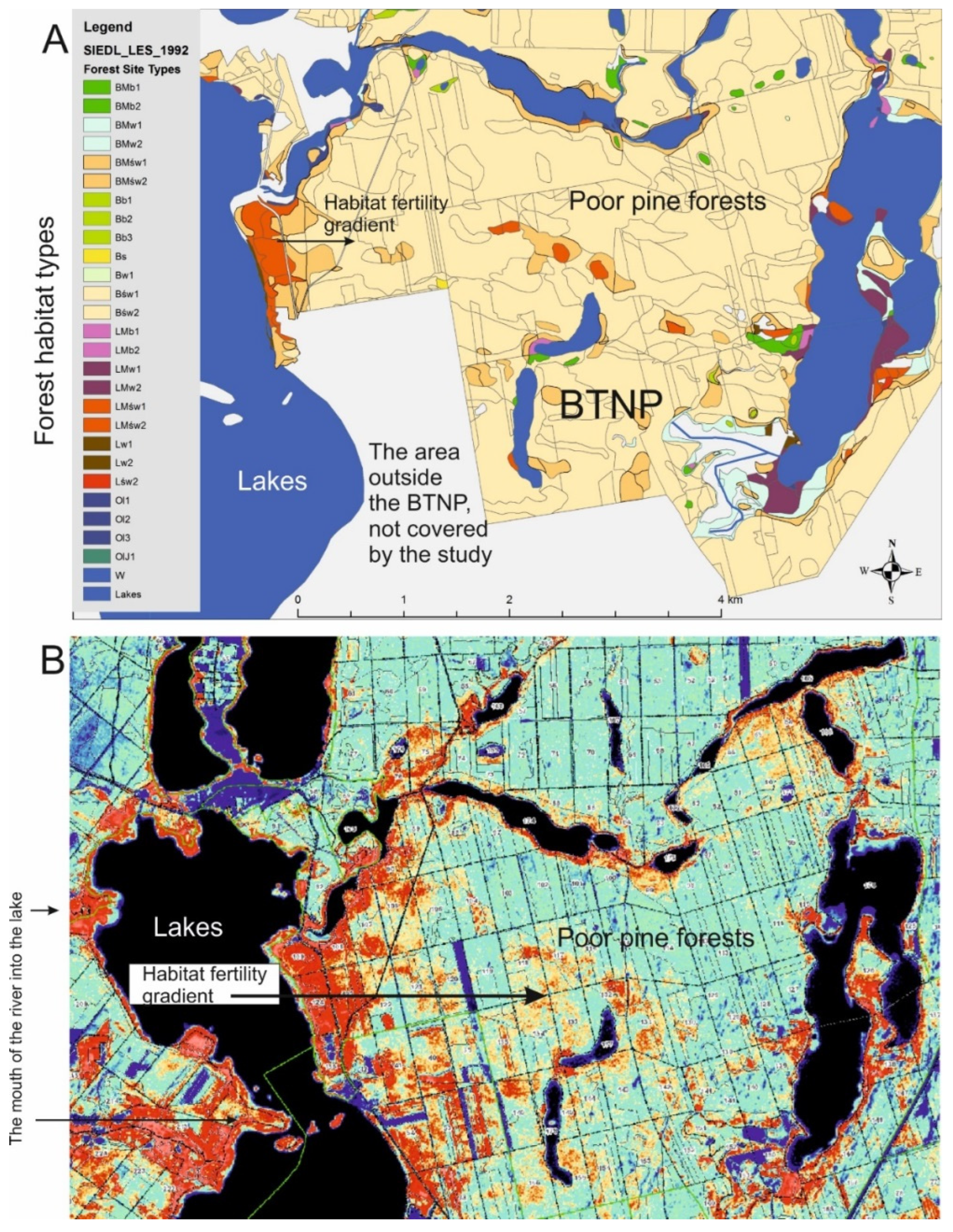 Remotesensing 14 04267 g009 550