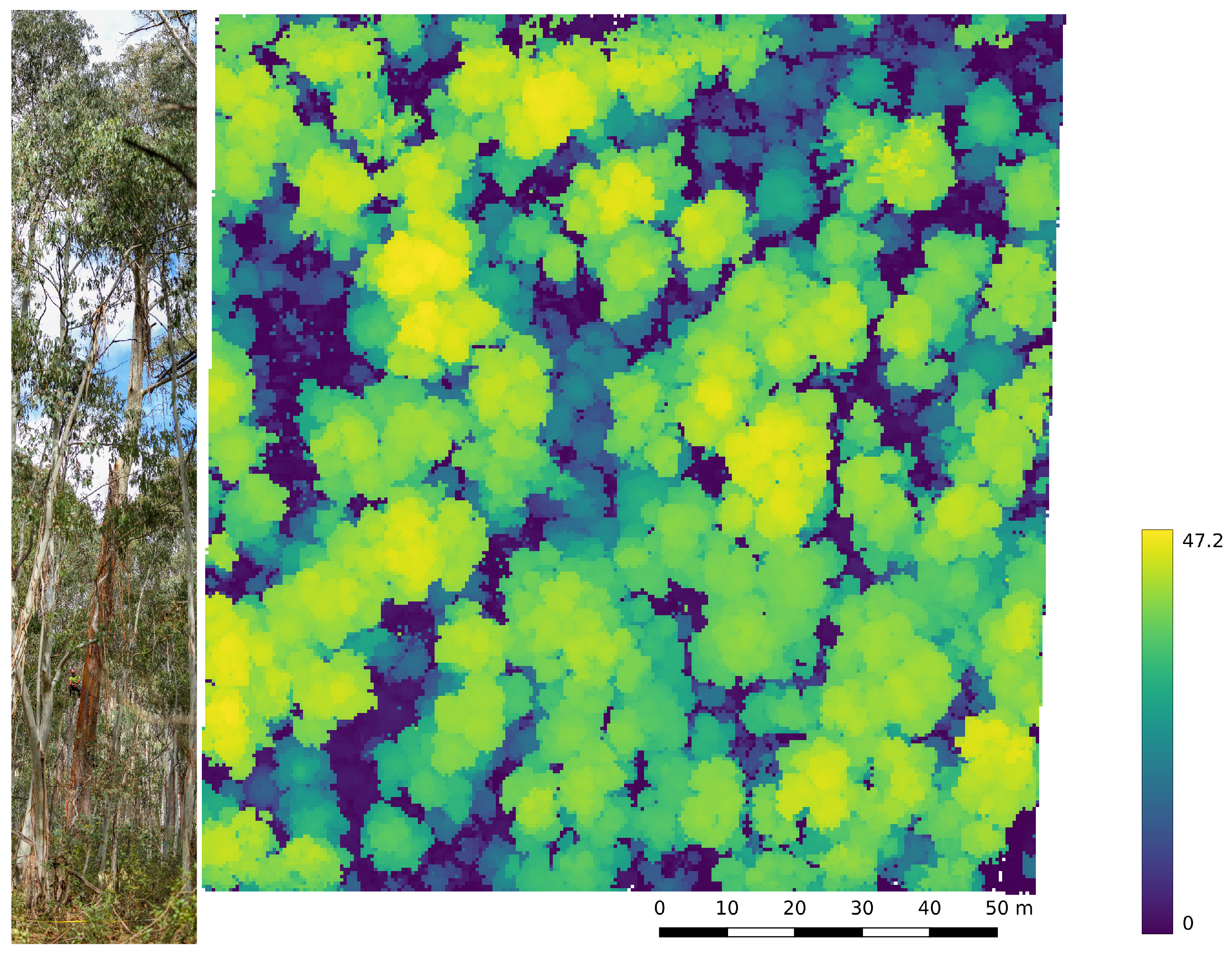 Remotesensing 14 04287 g001 550