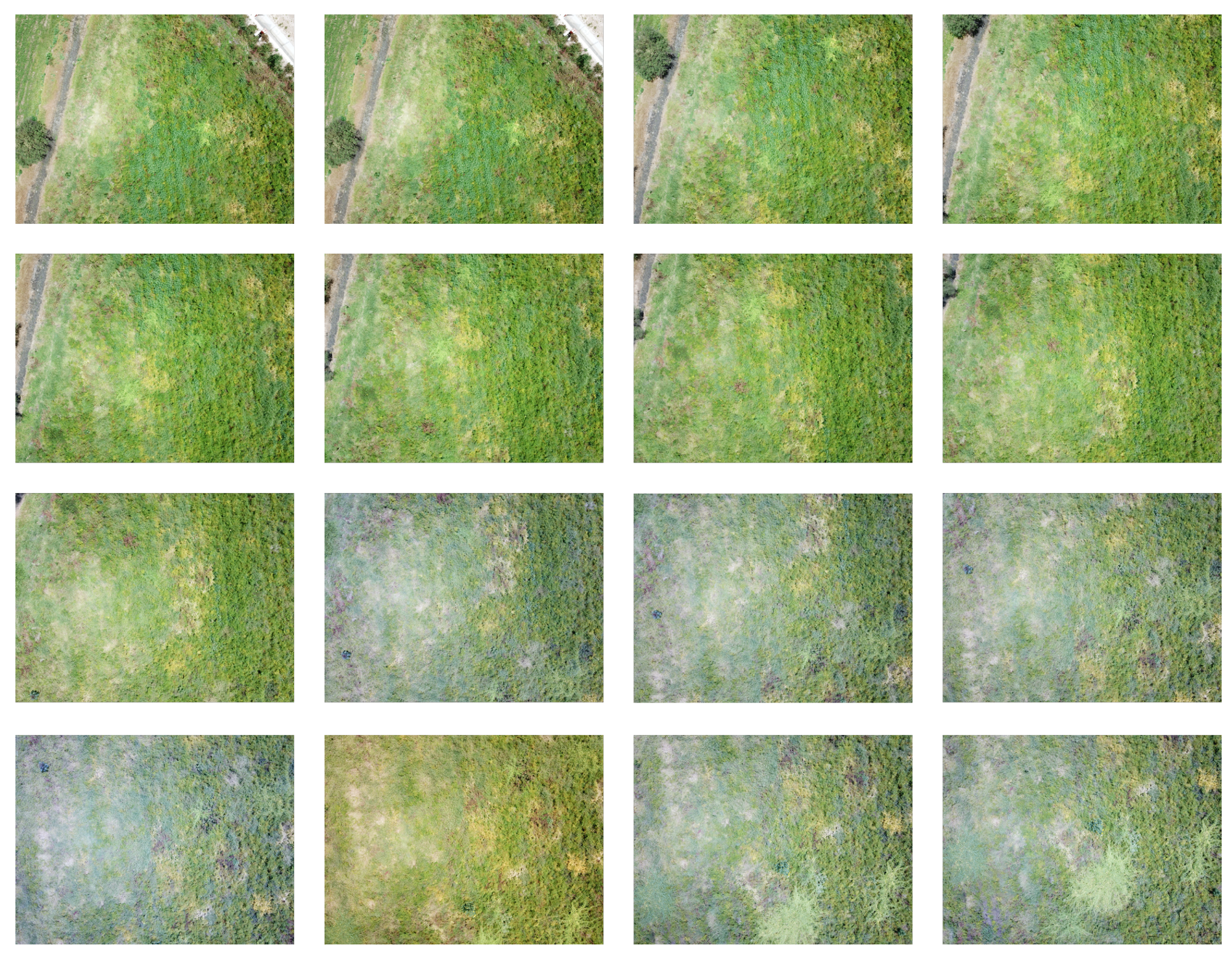 Remotesensing 14 04315 g002 Remotesensing 14 04315 g002