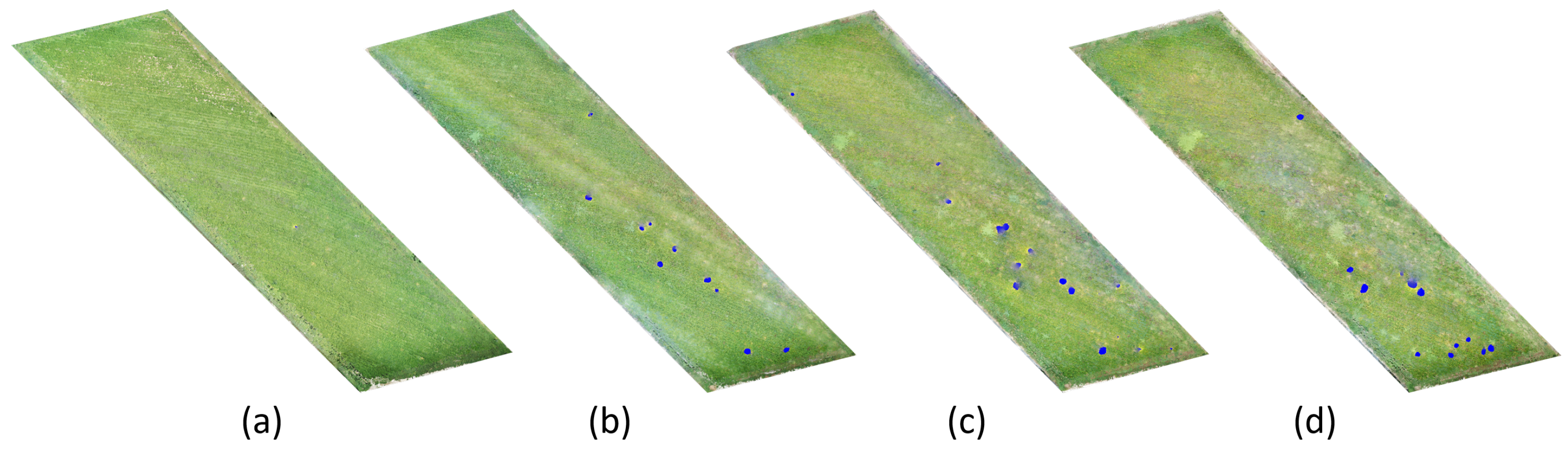 Remotesensing 14 04315 g007 Remotesensing 14 04315 g007