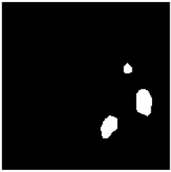 Remotesensing 14 04315 i007 Remotesensing 14 04315 i007