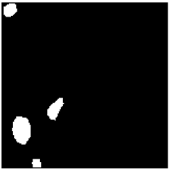 Remotesensing 14 04315 i009 Remotesensing 14 04315 i009