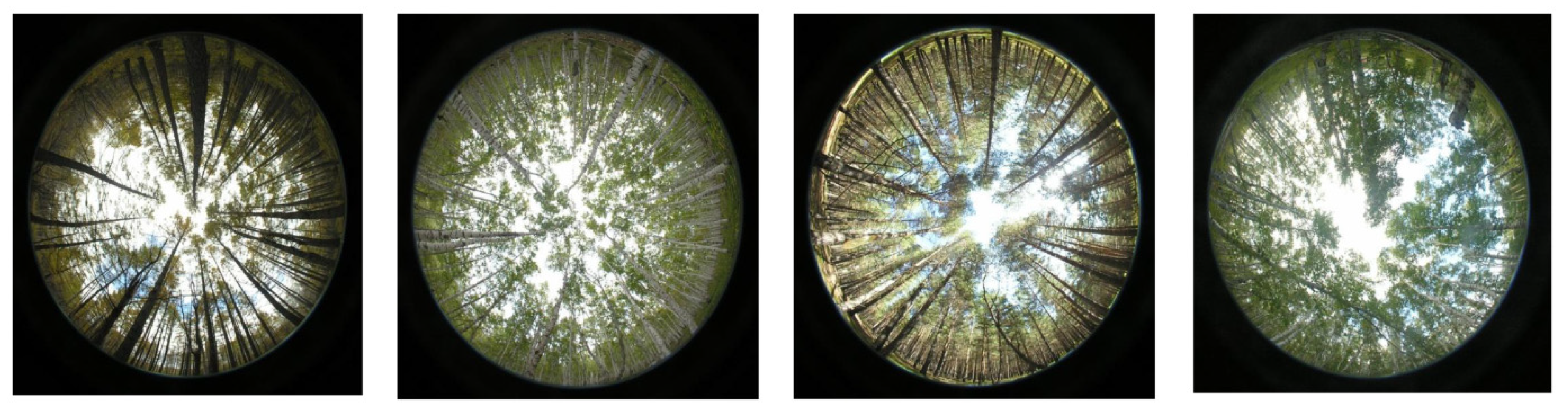 Remotesensing 14 04317 g005 550