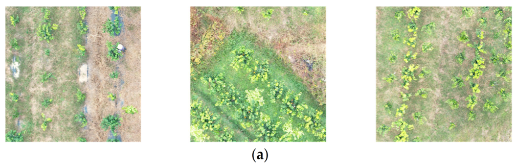 Remotesensing 14 04324 g006a