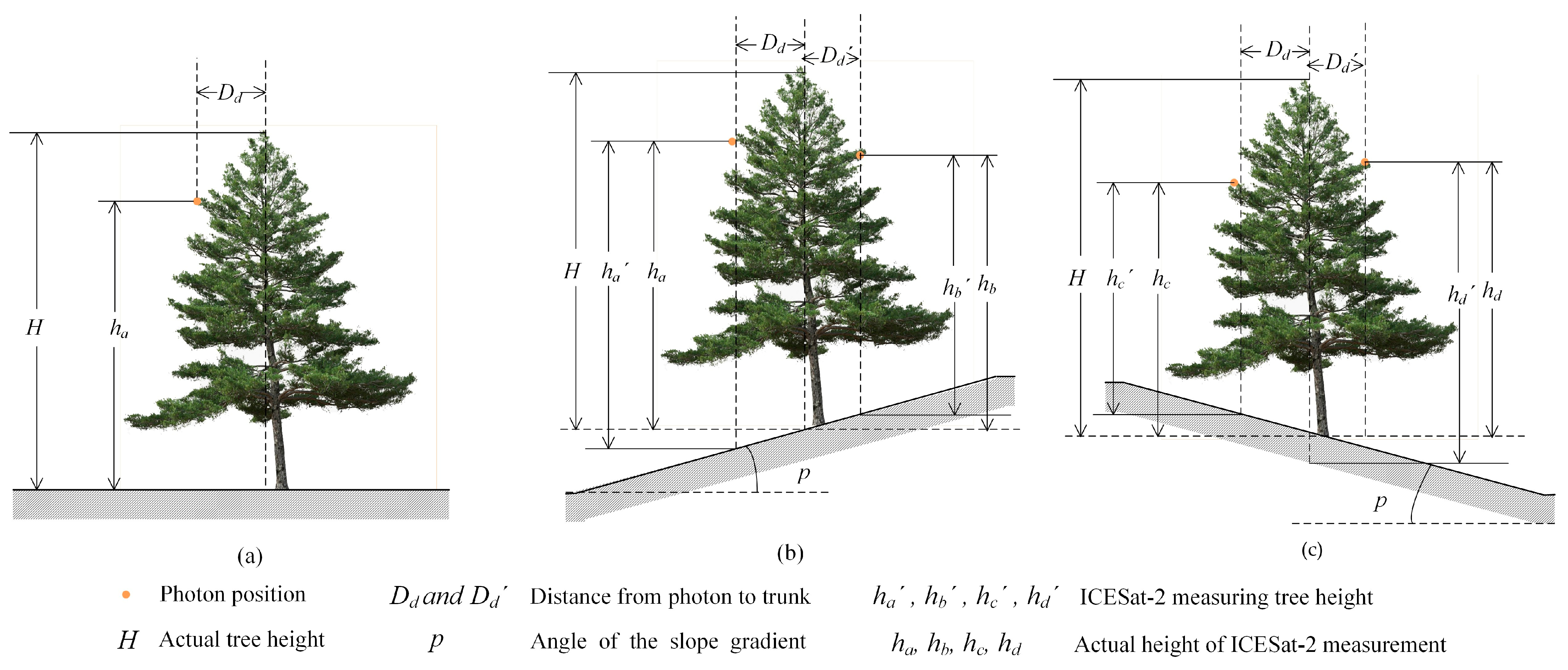 Remotesensing 14 04453 g006