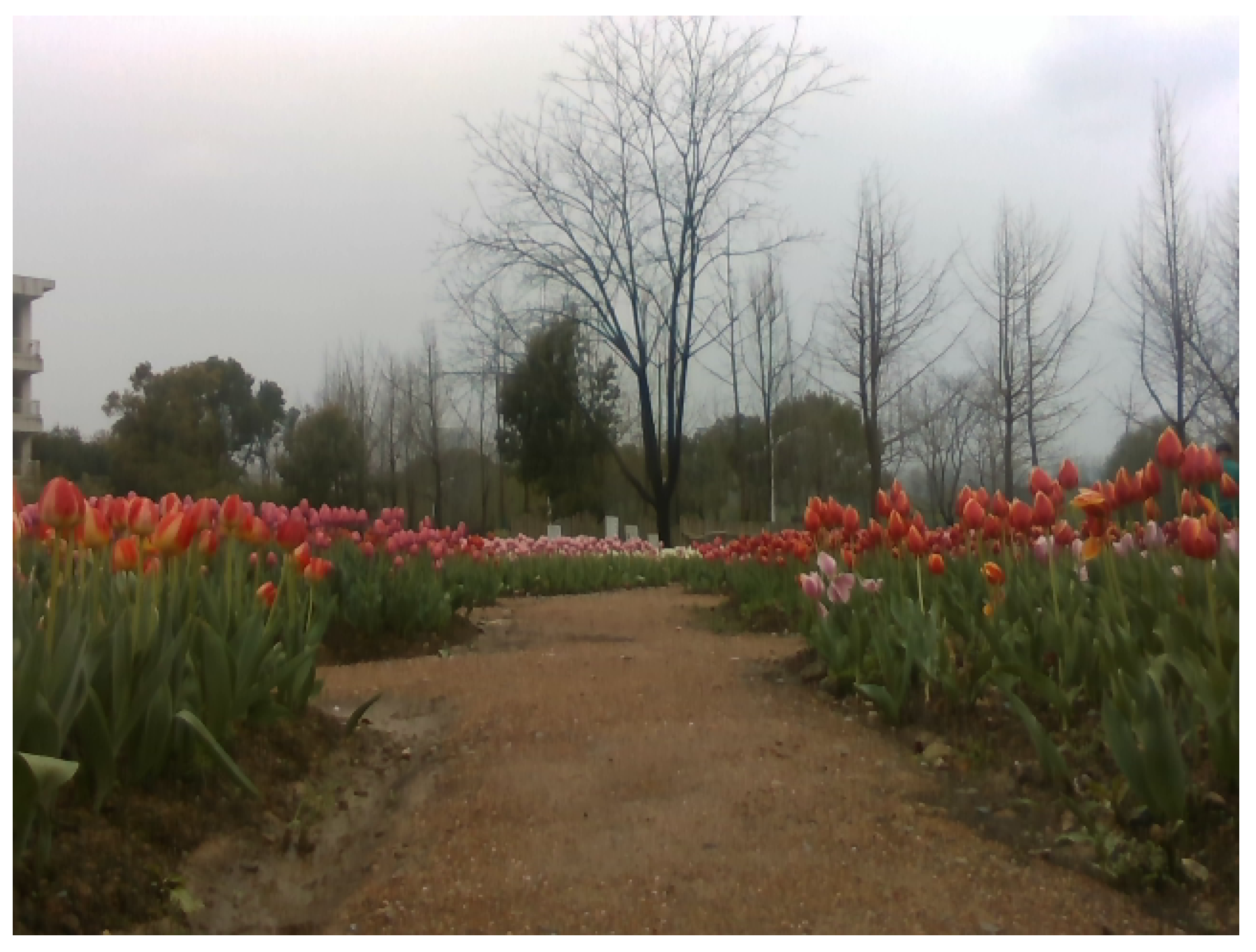 Remotesensing 14 04465 g002