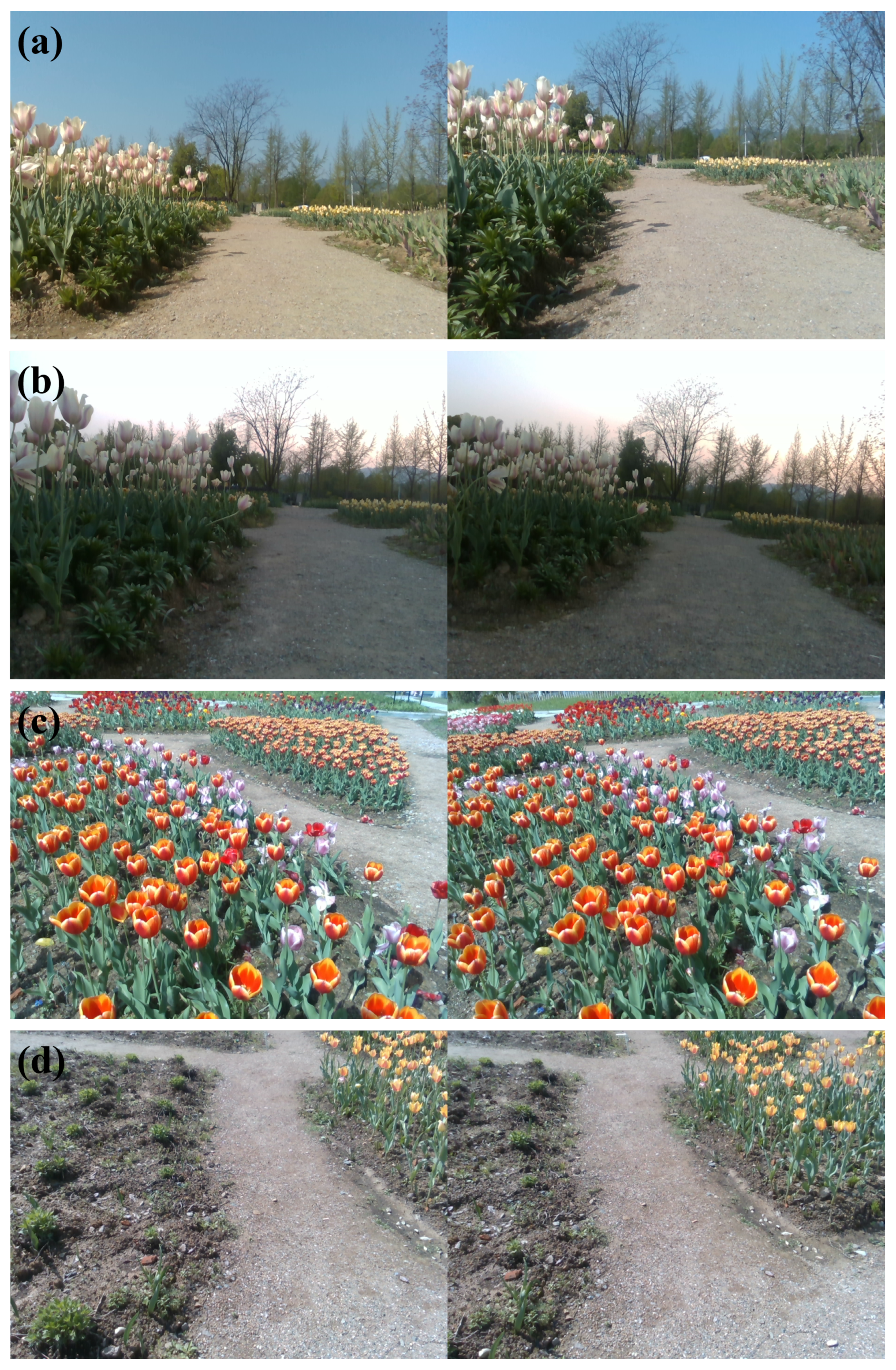 Remotesensing 14 04465 g014