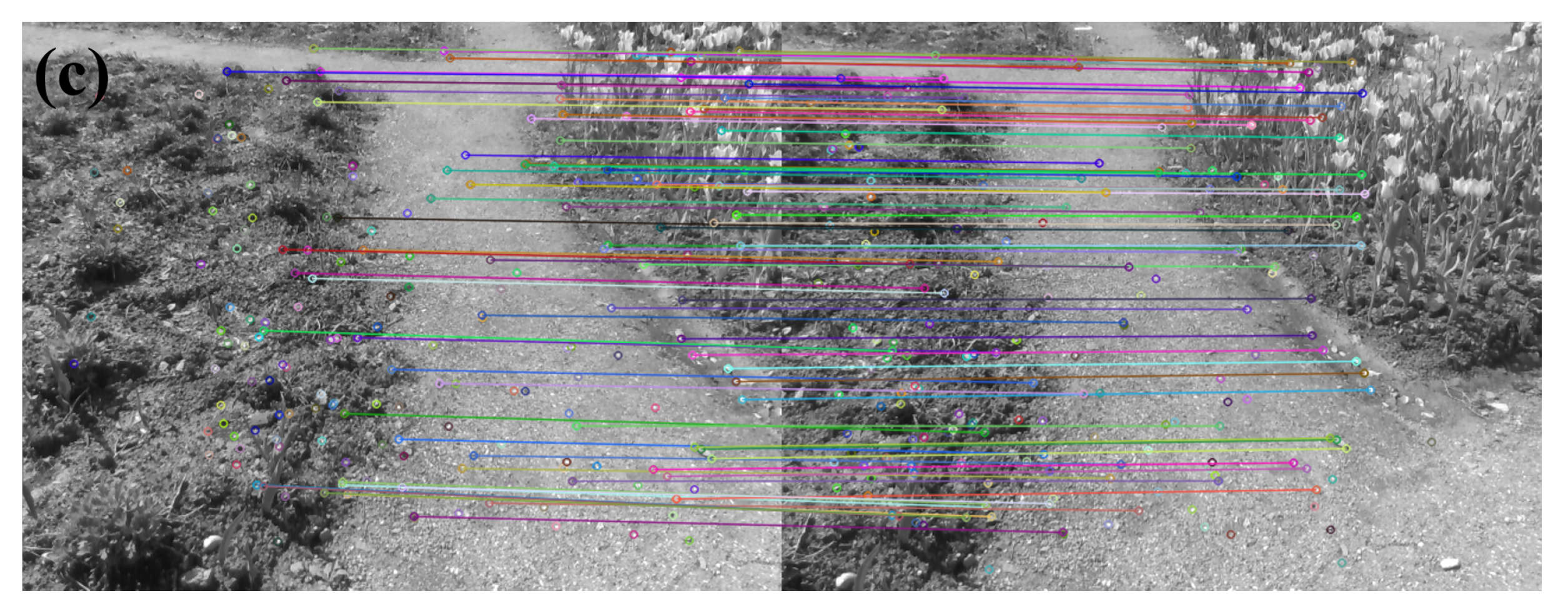 Remotesensing 14 04465 g017b