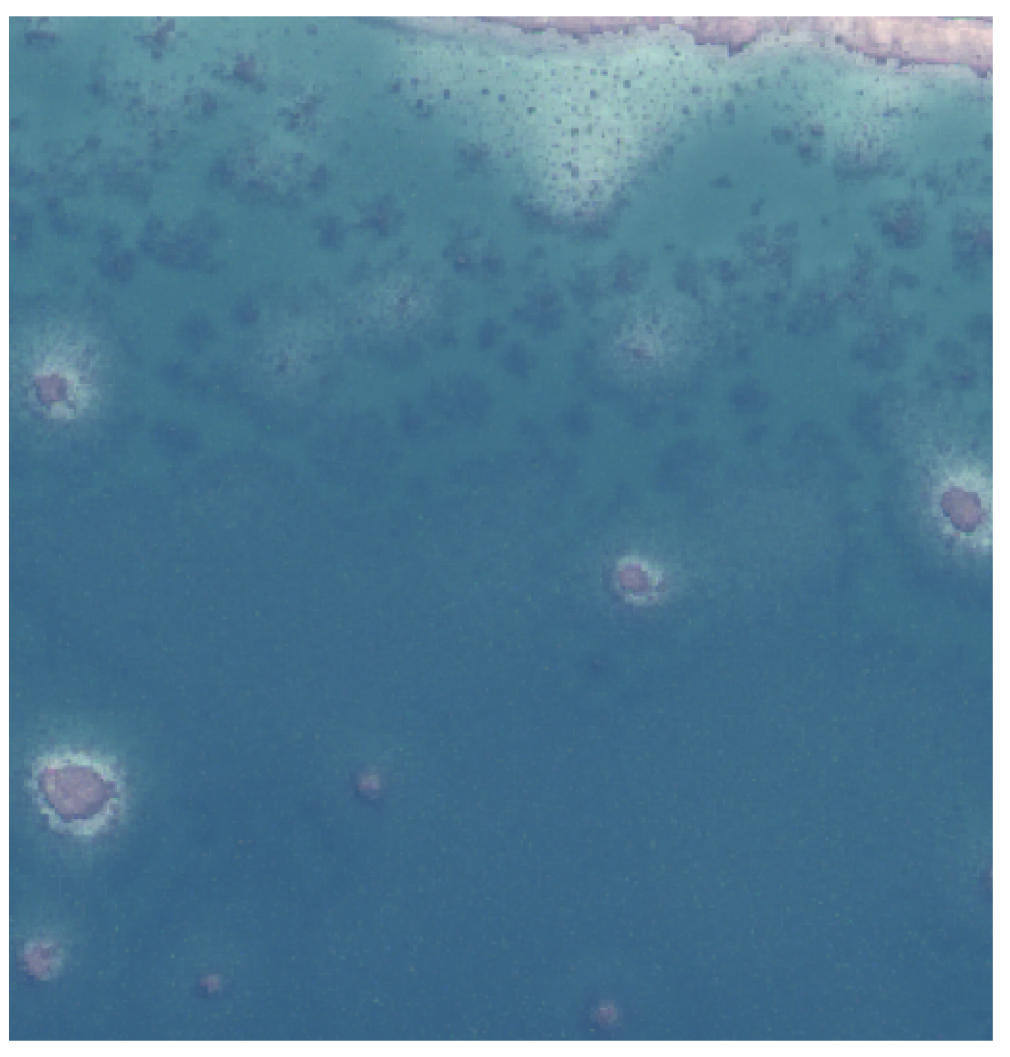 Remotesensing 14 04484 g024