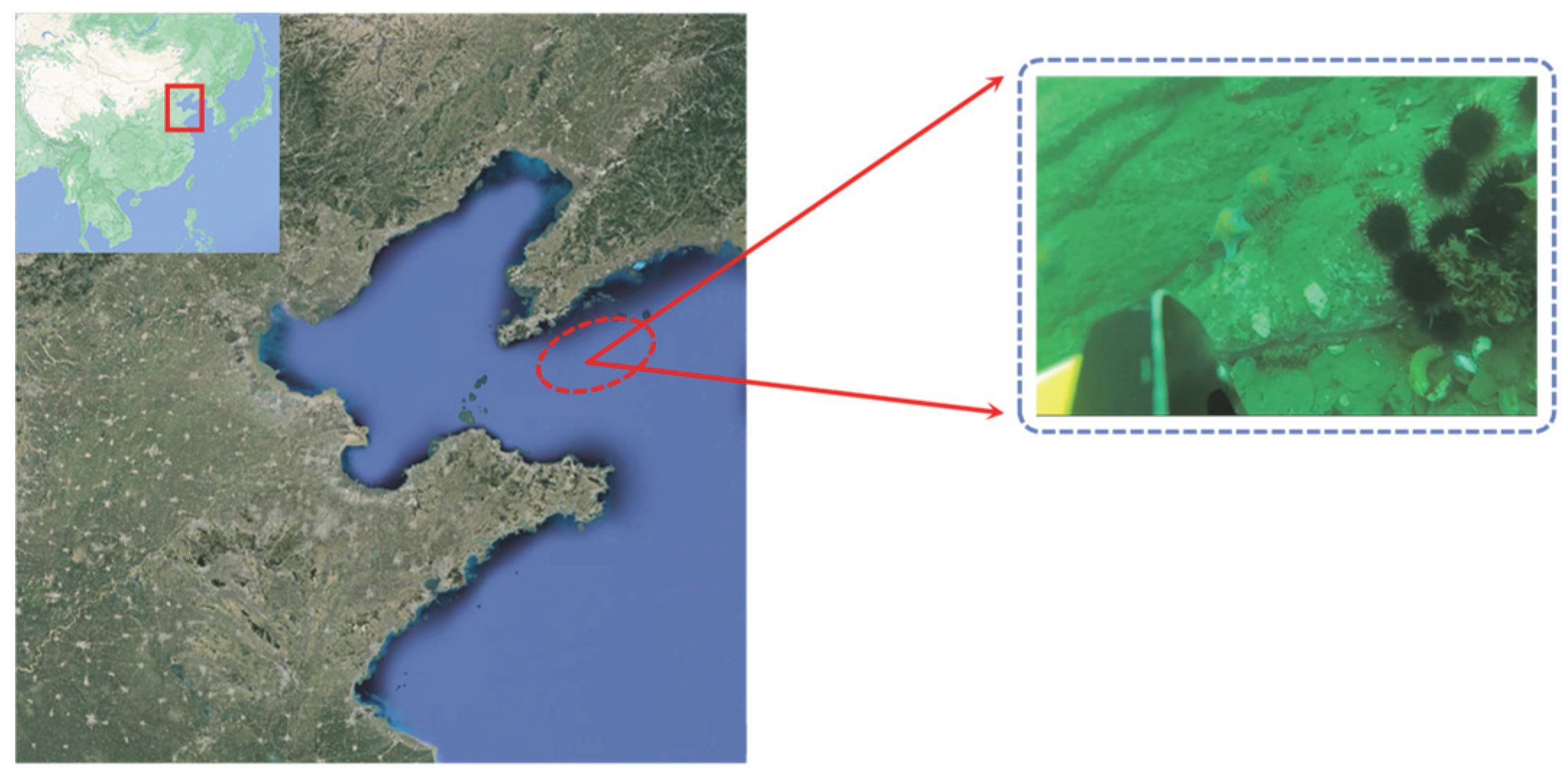 Remotesensing 14 04487 g009 550