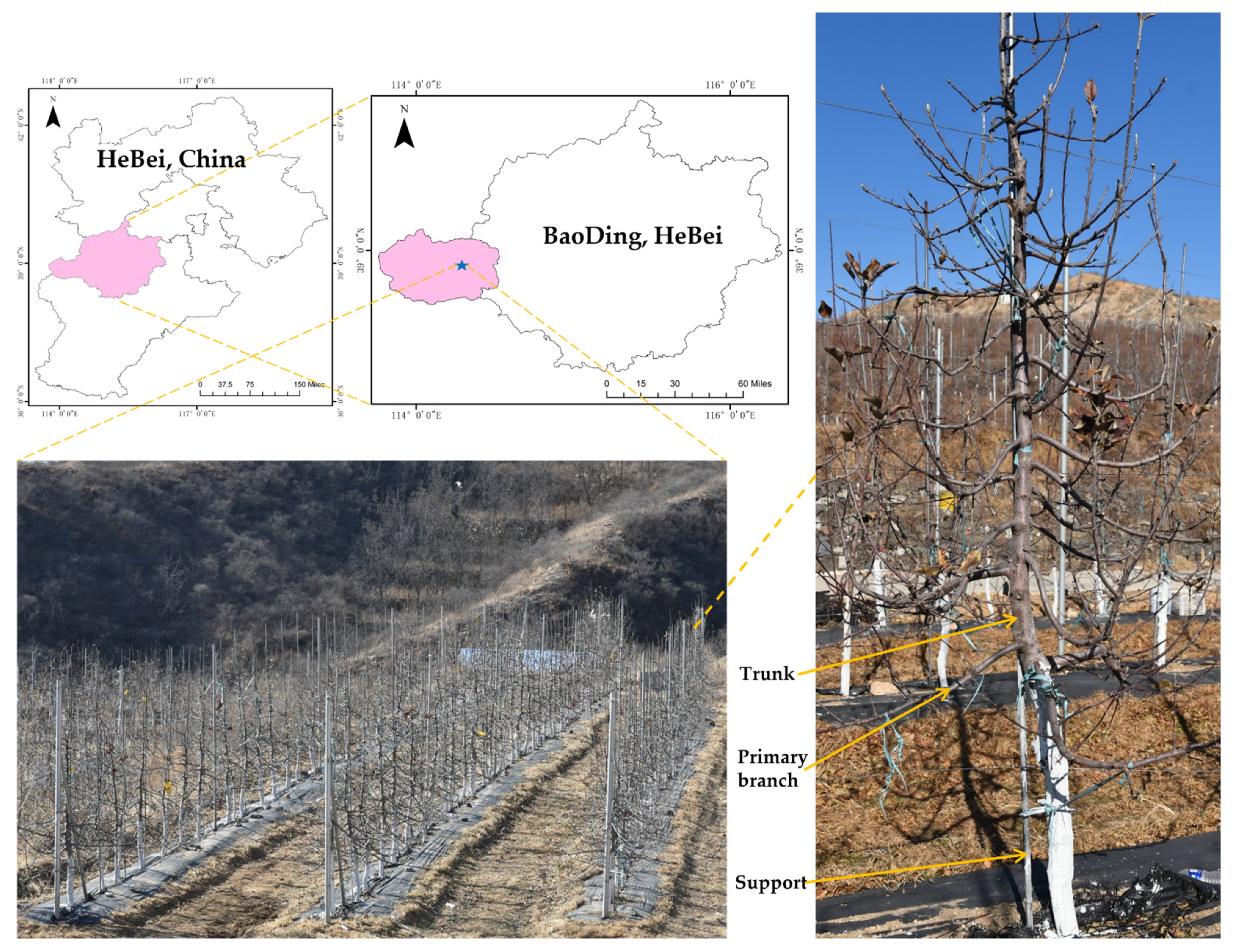 Remotesensing 14 04495 g001