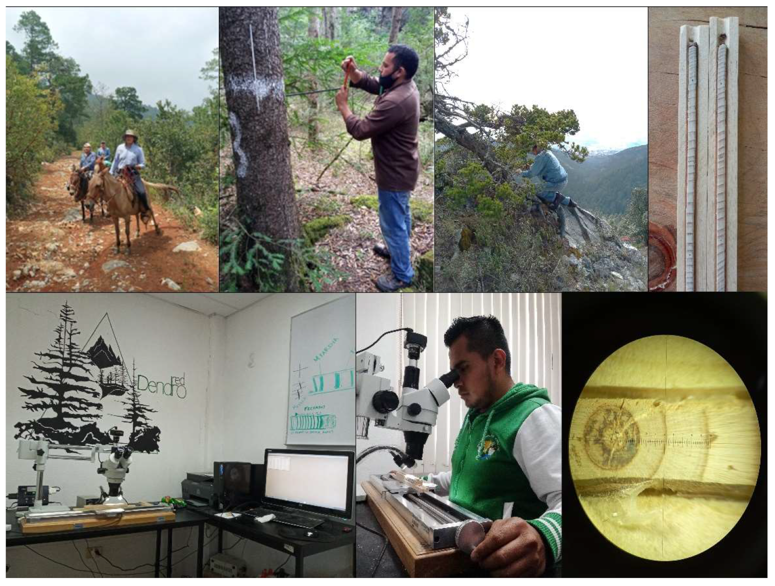 Remotesensing 14 04506 g002