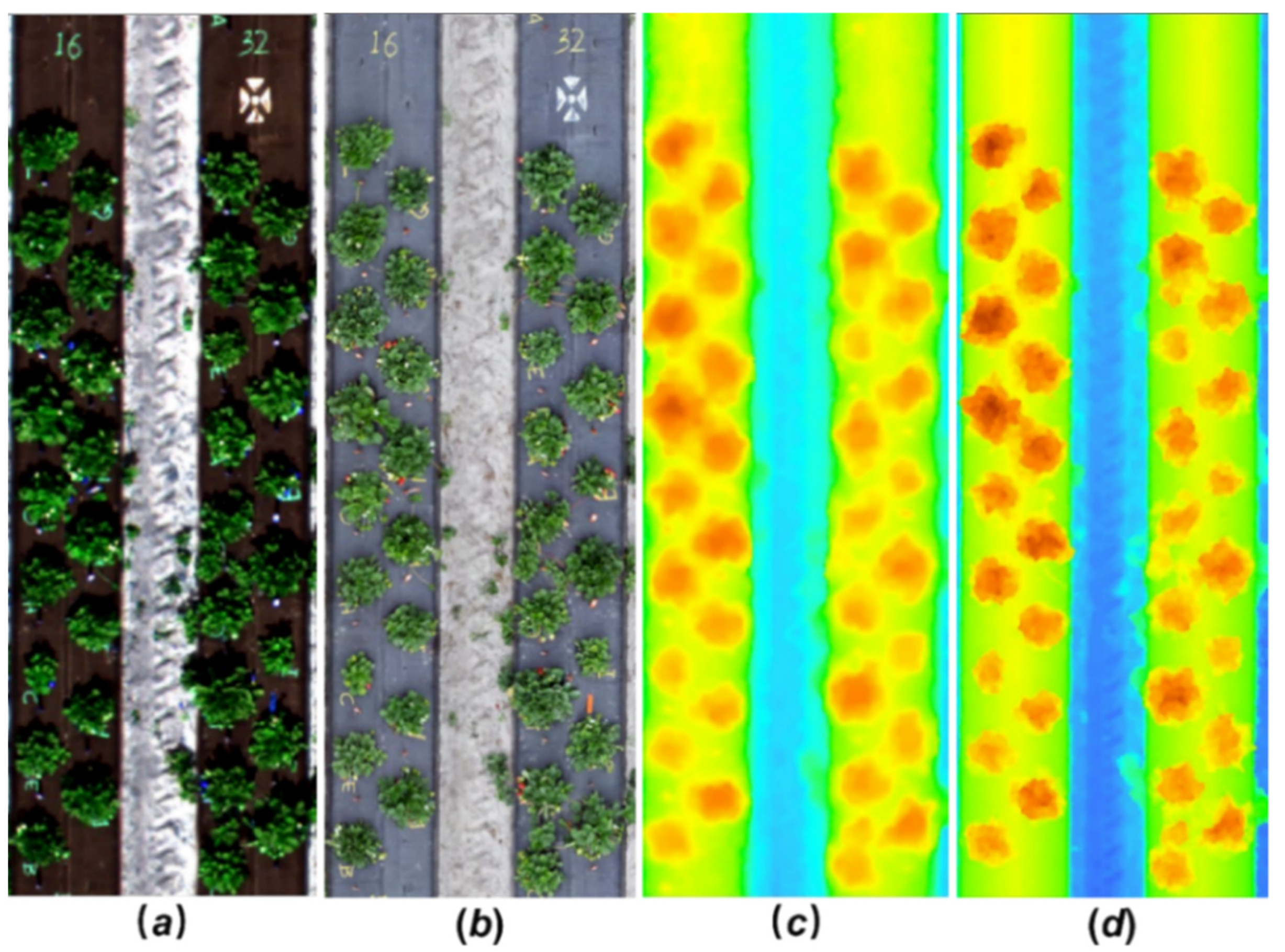 Remotesensing 14 04511 g005 550