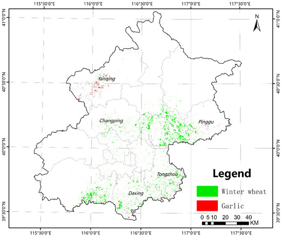 ゴールデンウィーク ダビッドソン グランド ロングウィングオックスフォード mens
