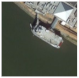 Remotesensing 14 04566 i006