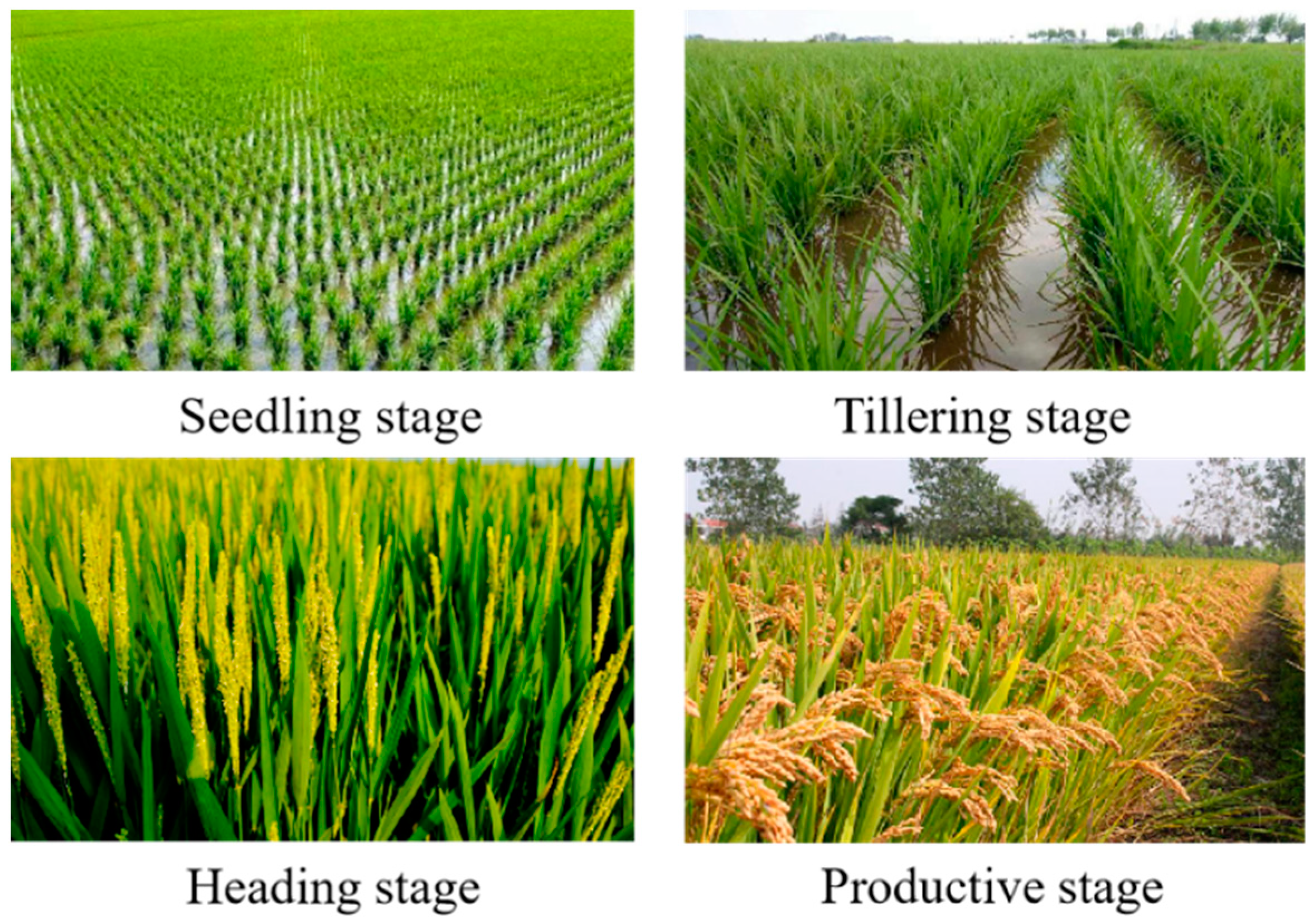 Remotesensing 14 04573 g003 550