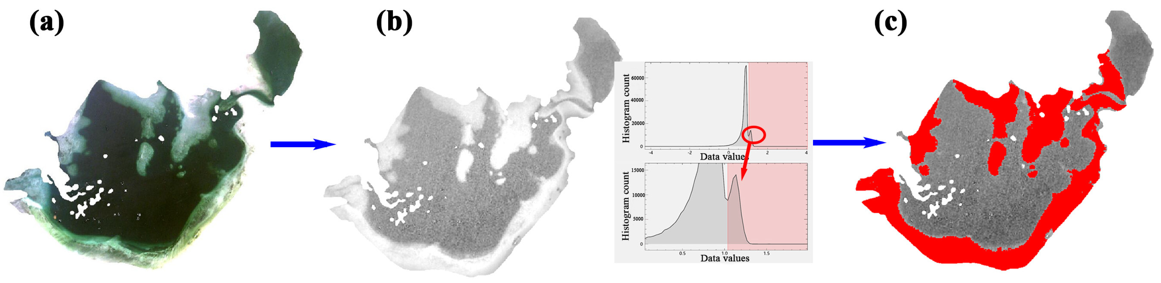 Remotesensing 14 04590 g010