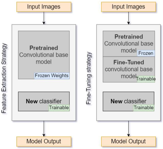 Comparison of Deep Neural Networks in Detecting Field Grapevine ...