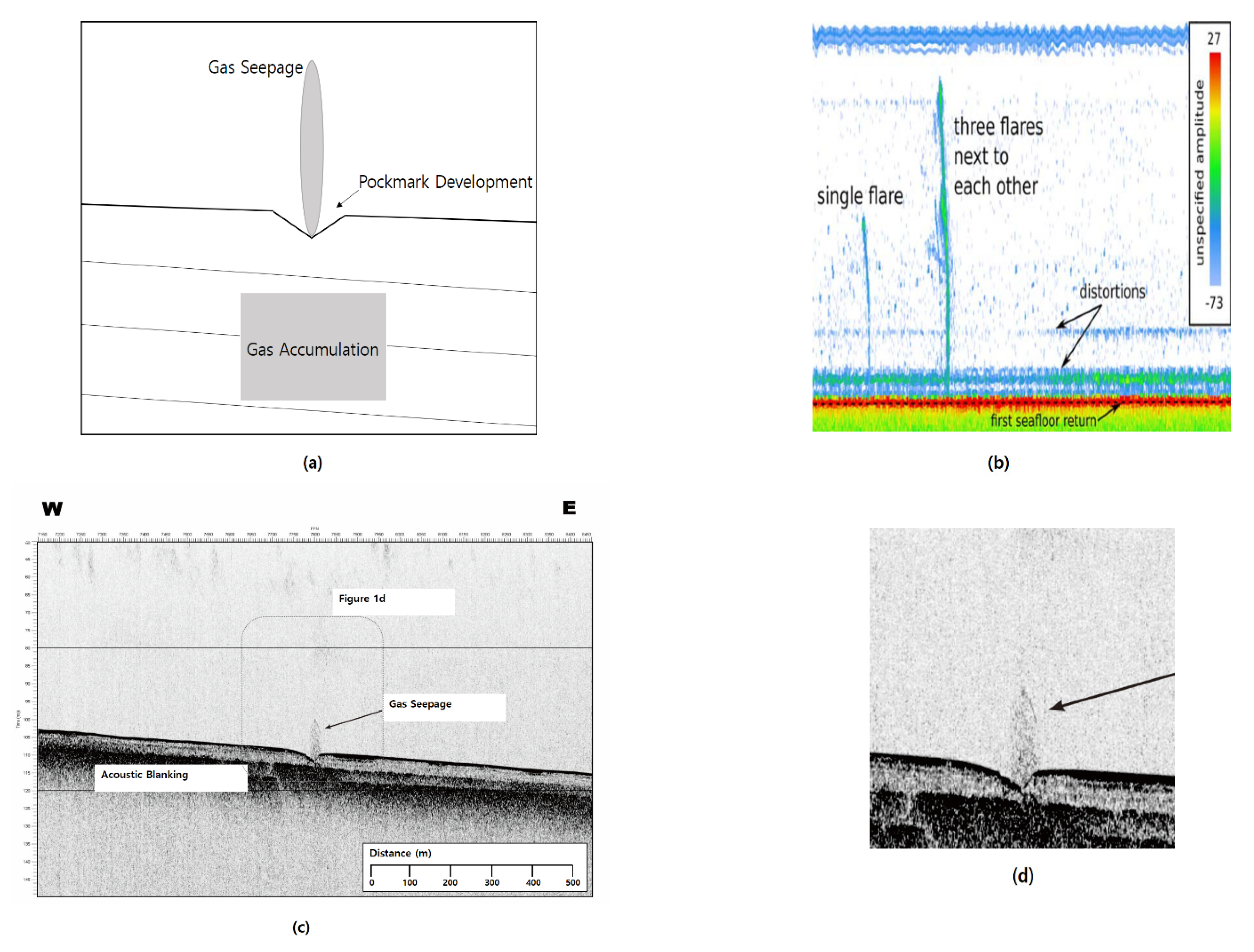 Numerical Imaging of the Seabed and Acoustic Flares with