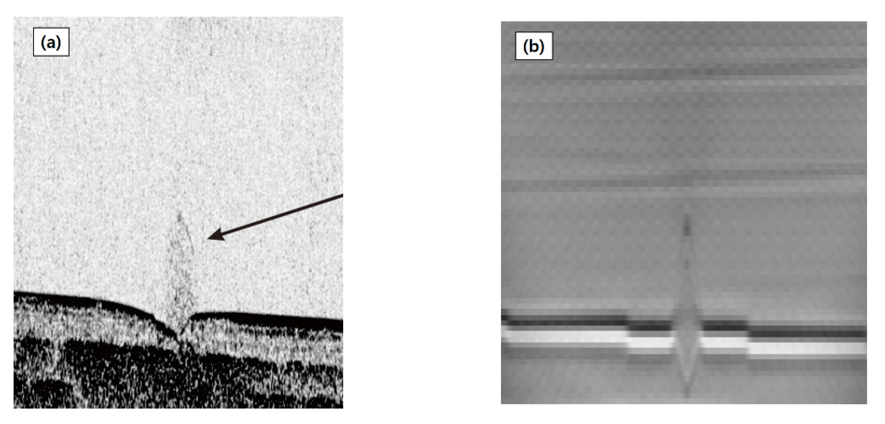 Remotesensing 14 04652 g009