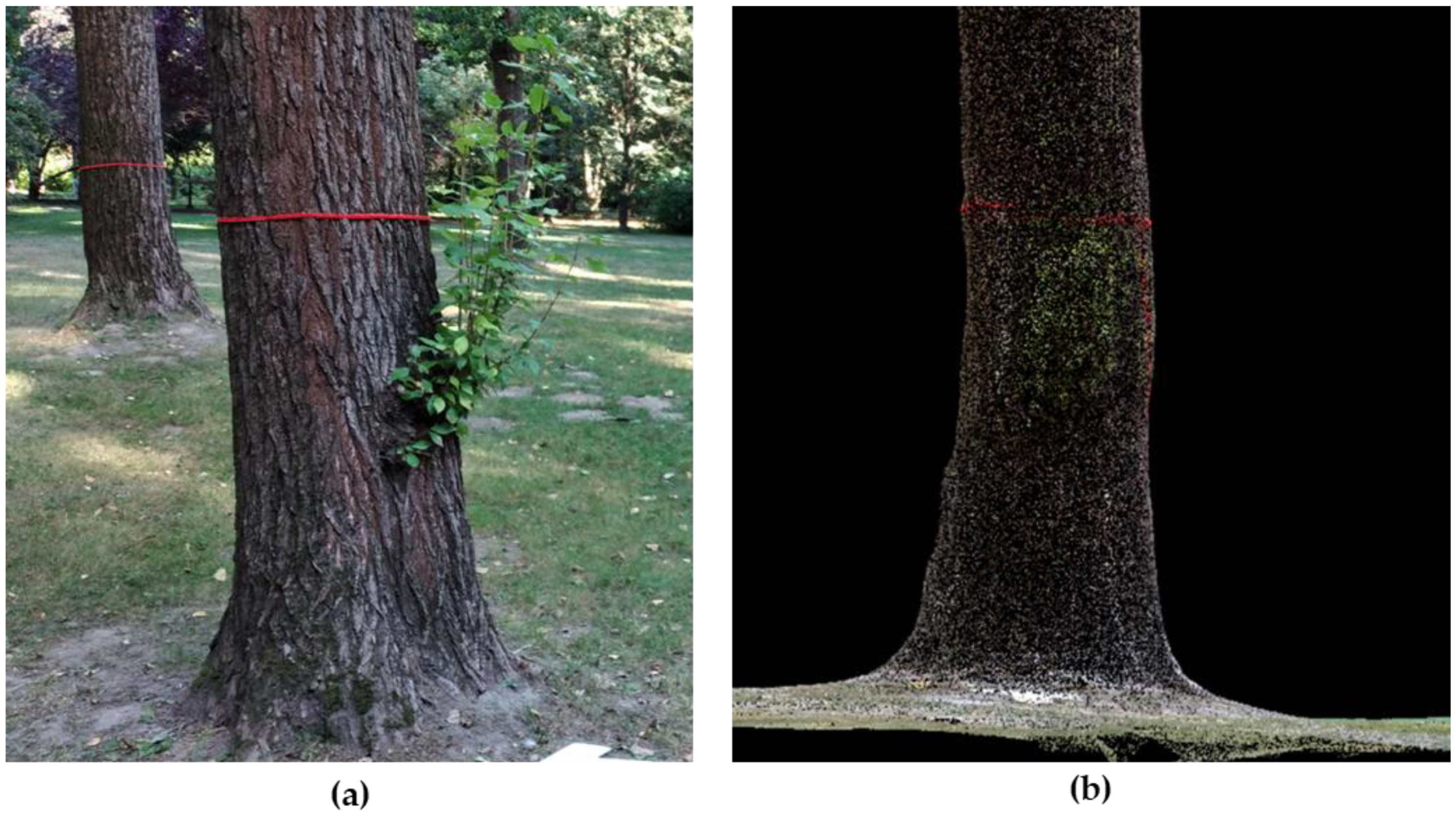 Remotesensing 14 04661 g002 Remotesensing 14 04661 g002