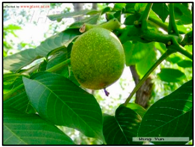 Remotesensing 14 04725 i001