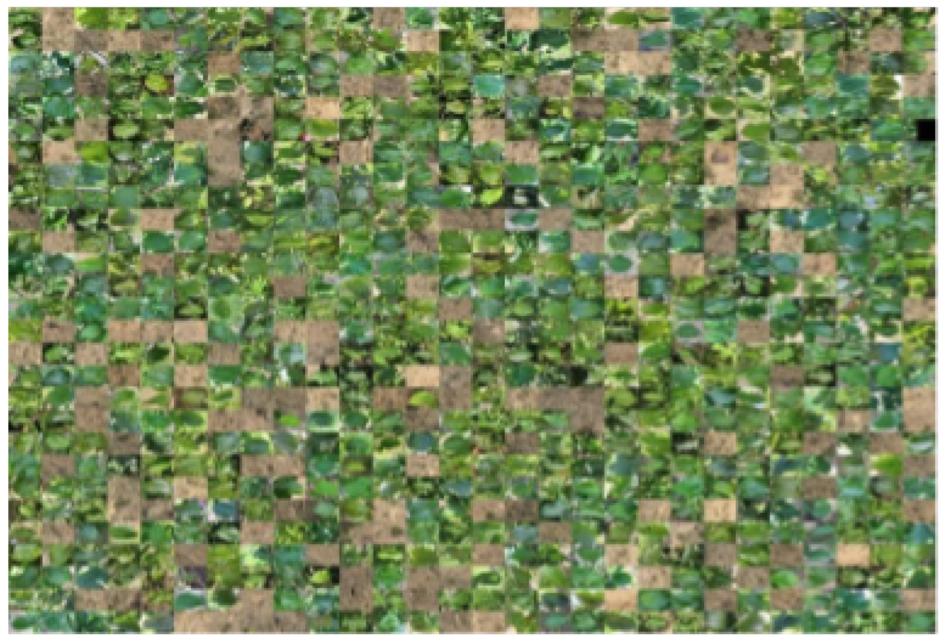 Remotesensing 14 04765 g002 Remotesensing 14 04765 g002