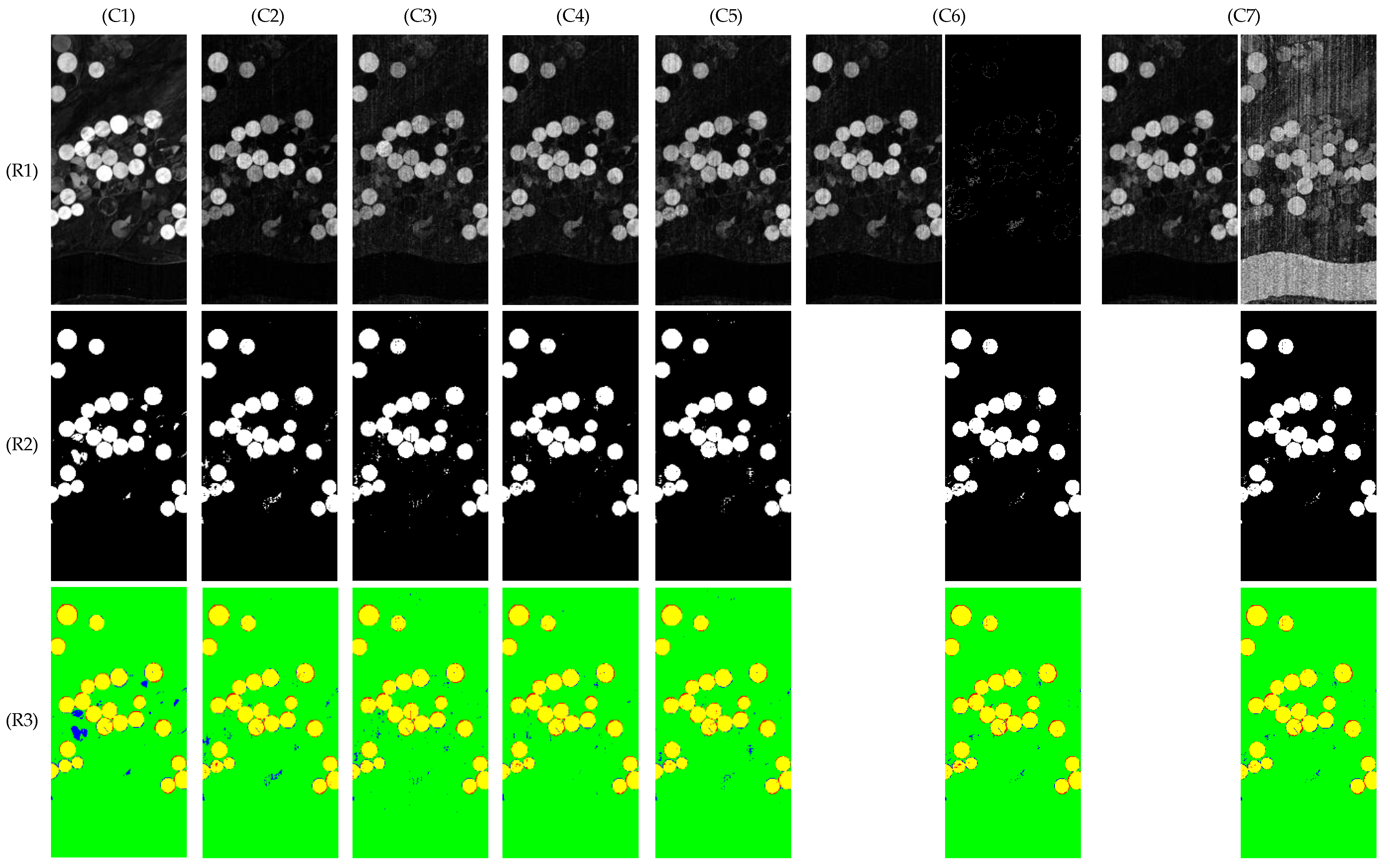 Remotesensing 14 04806 g010