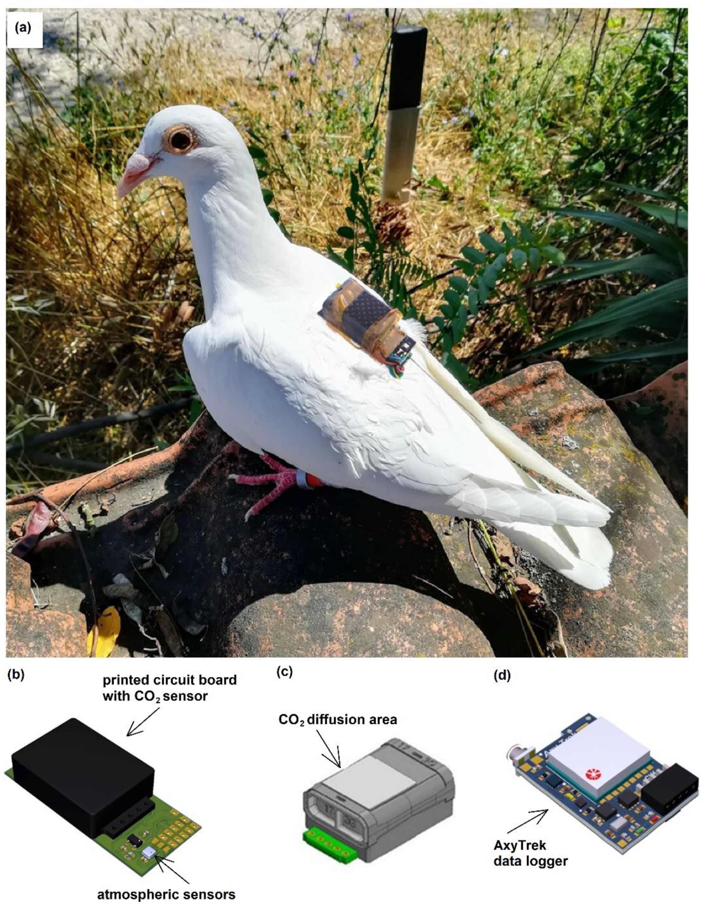 Remotesensing 14 04876 g001 Remotesensing 14 04876 g001