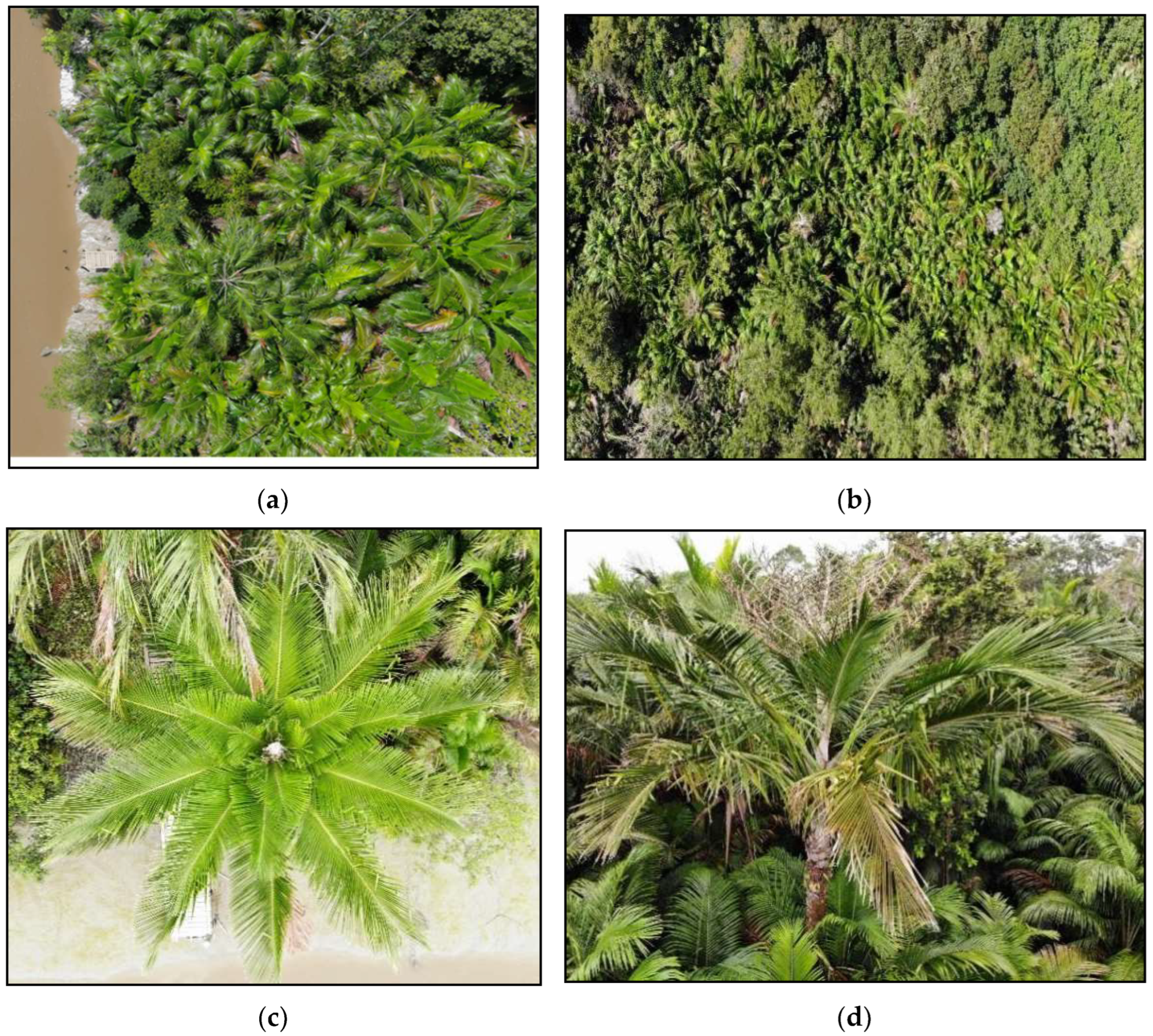 Remotesensing 14 04932 g003