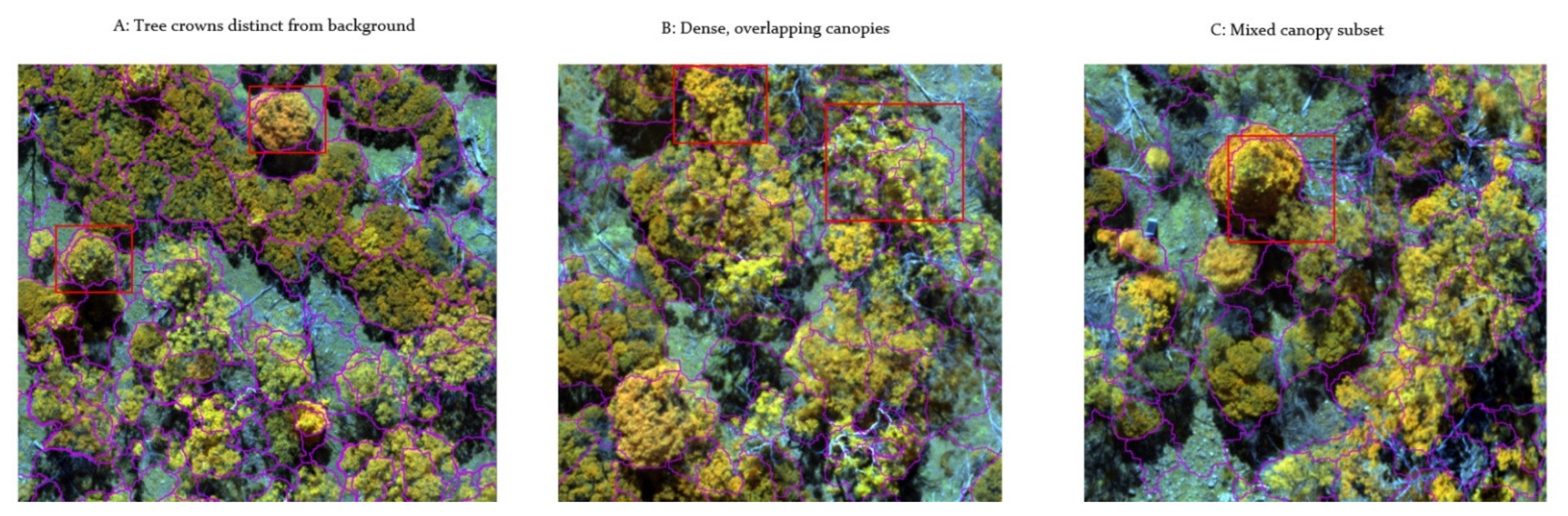 Remotesensing 14 04963 g004 Remotesensing 14 04963 g004