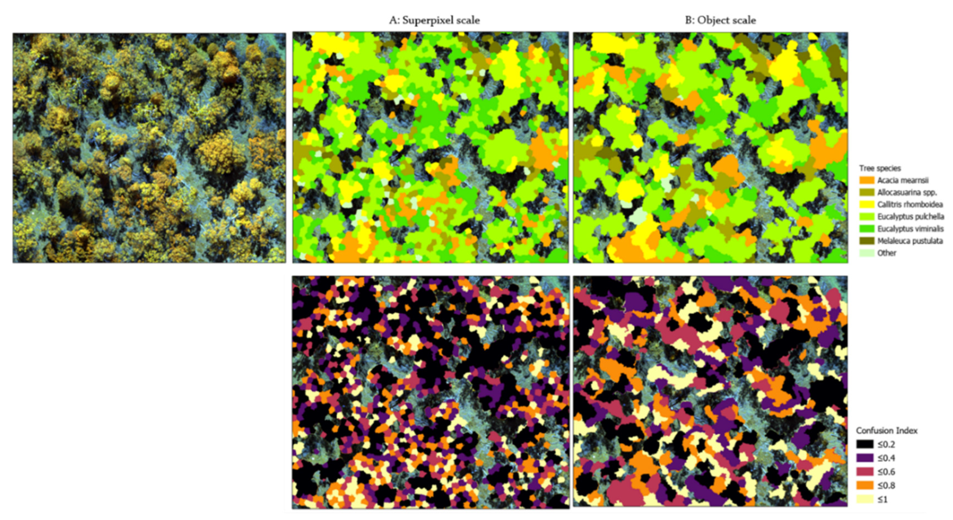 Remotesensing 14 04963 g011 Remotesensing 14 04963 g011