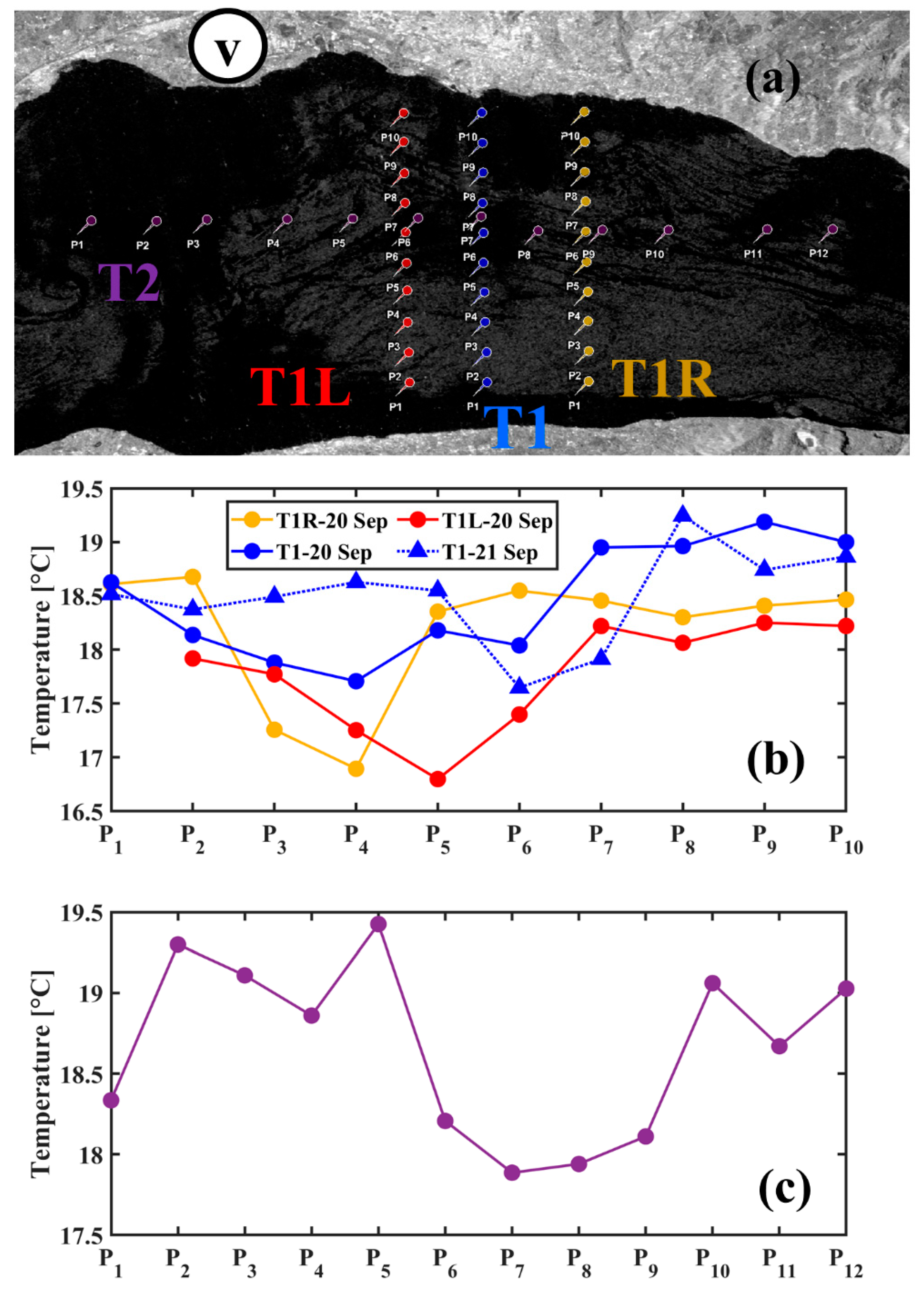 Remotesensing 14 04967 g006