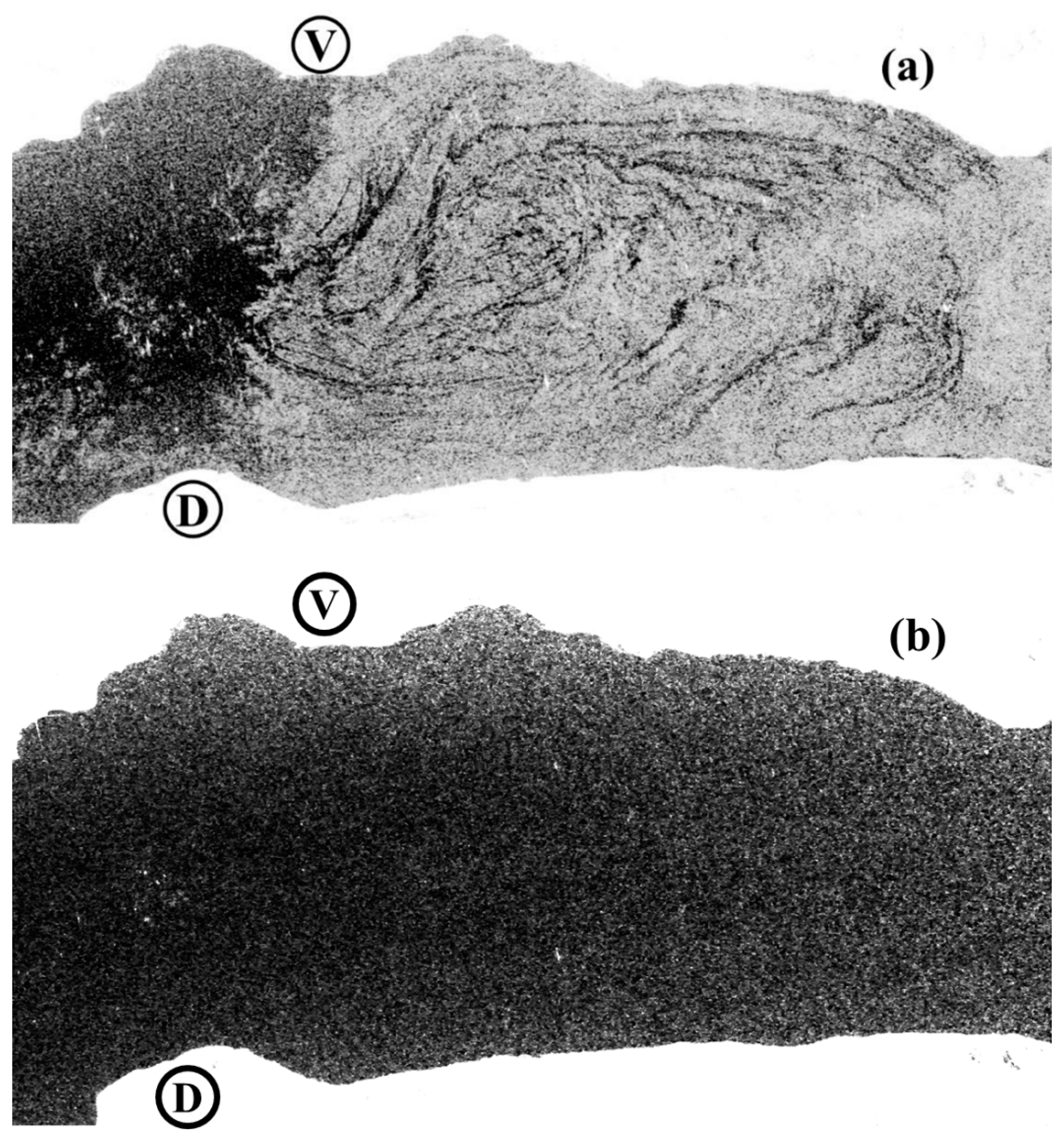 Remotesensing 14 04967 g0a1