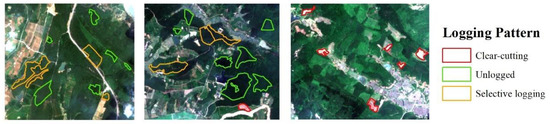 Logging Pattern Detection by Multispectral Remote Sensing Imagery in ...
