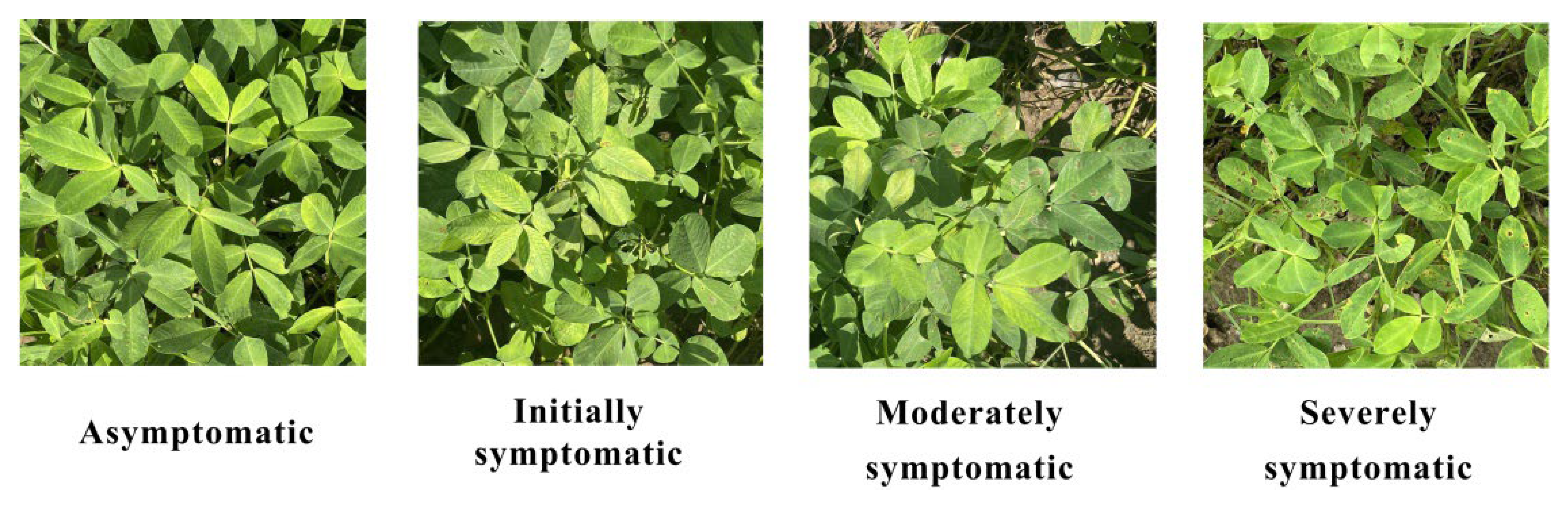 Remotesensing 14 04988 g003 Remotesensing 14 04988 g003