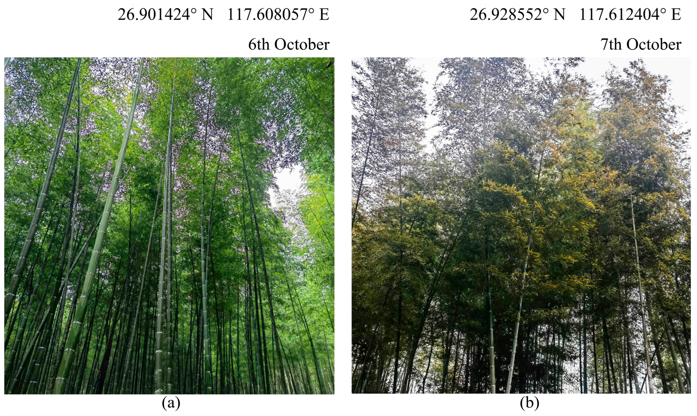 Remotesensing 14 05012 g001