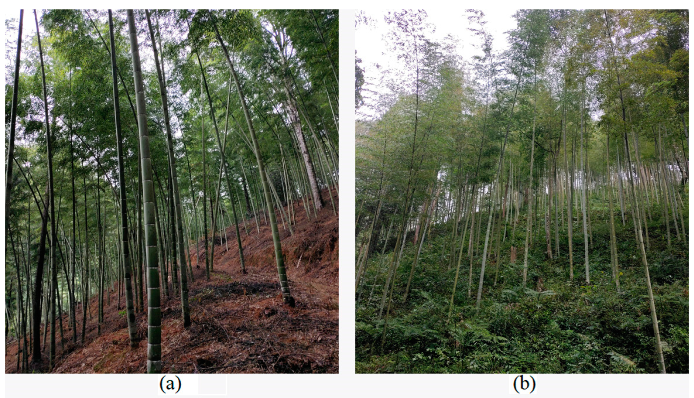 Remotesensing 14 05012 g011