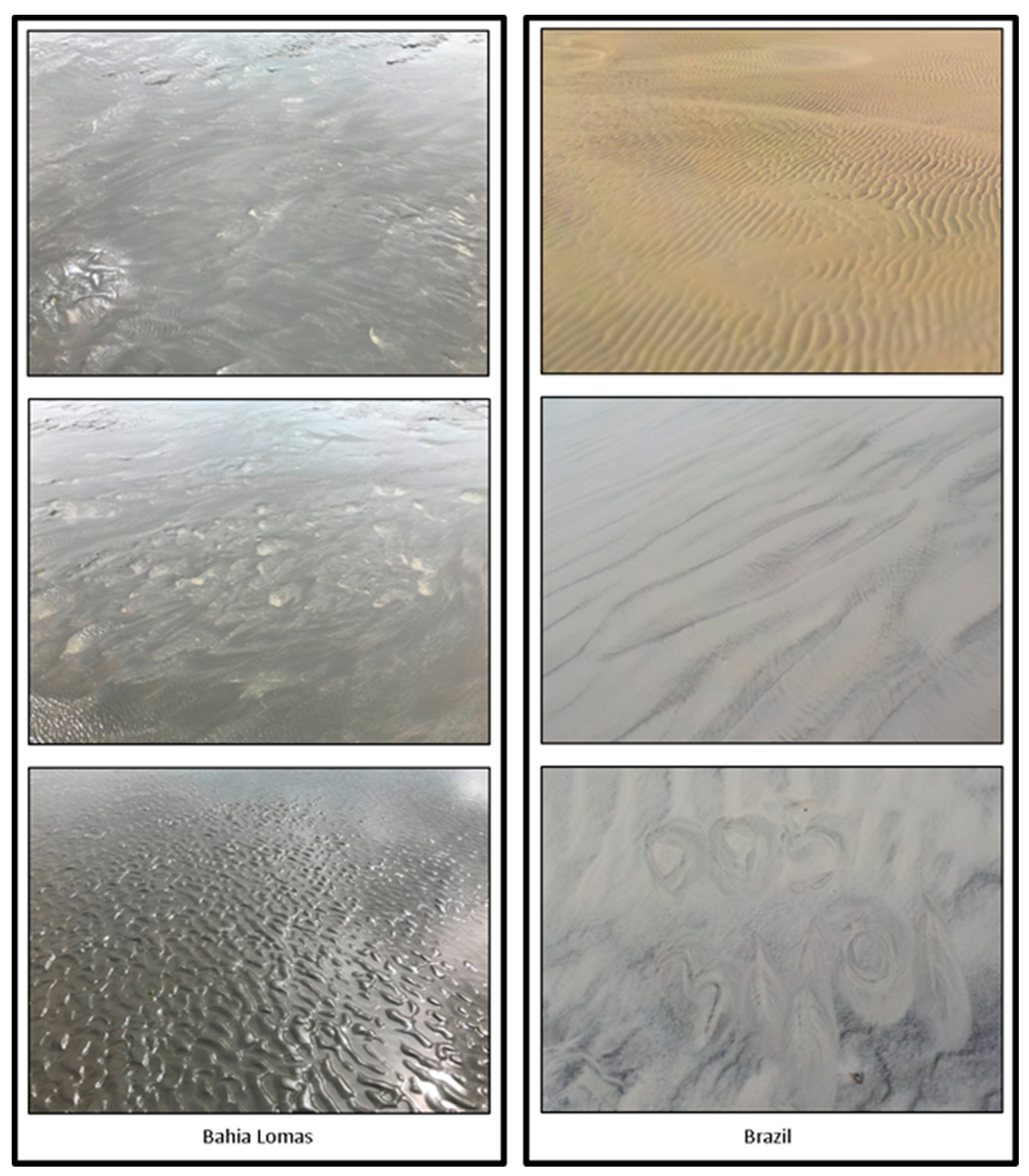 Remotesensing 14 05016 g003