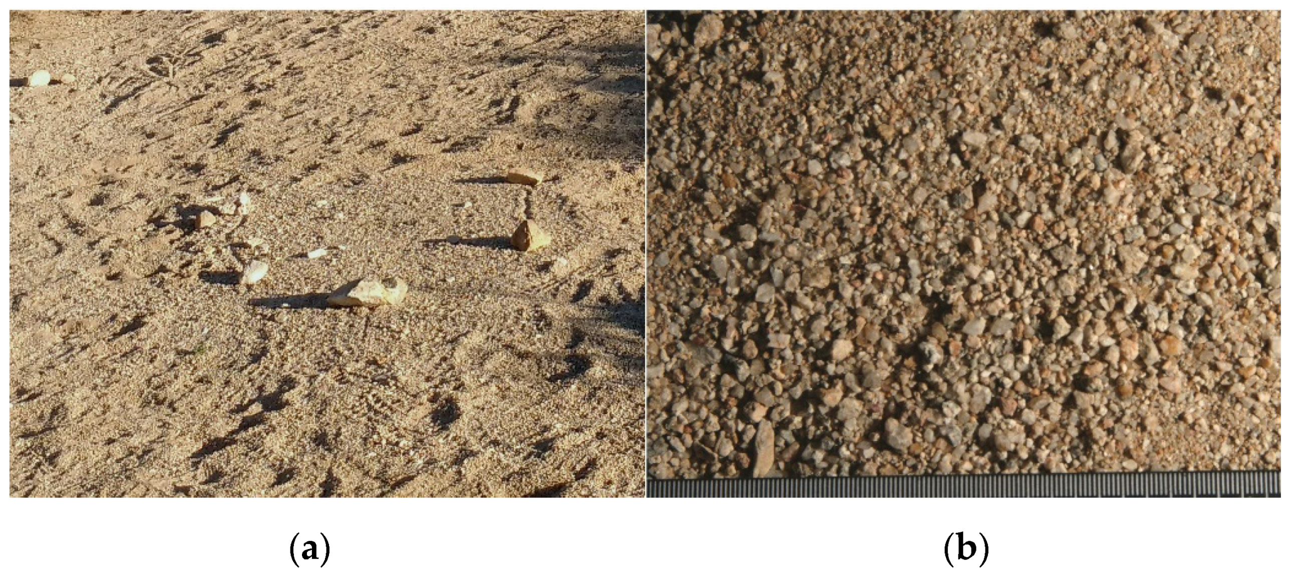 Remotesensing 14 05020 g004